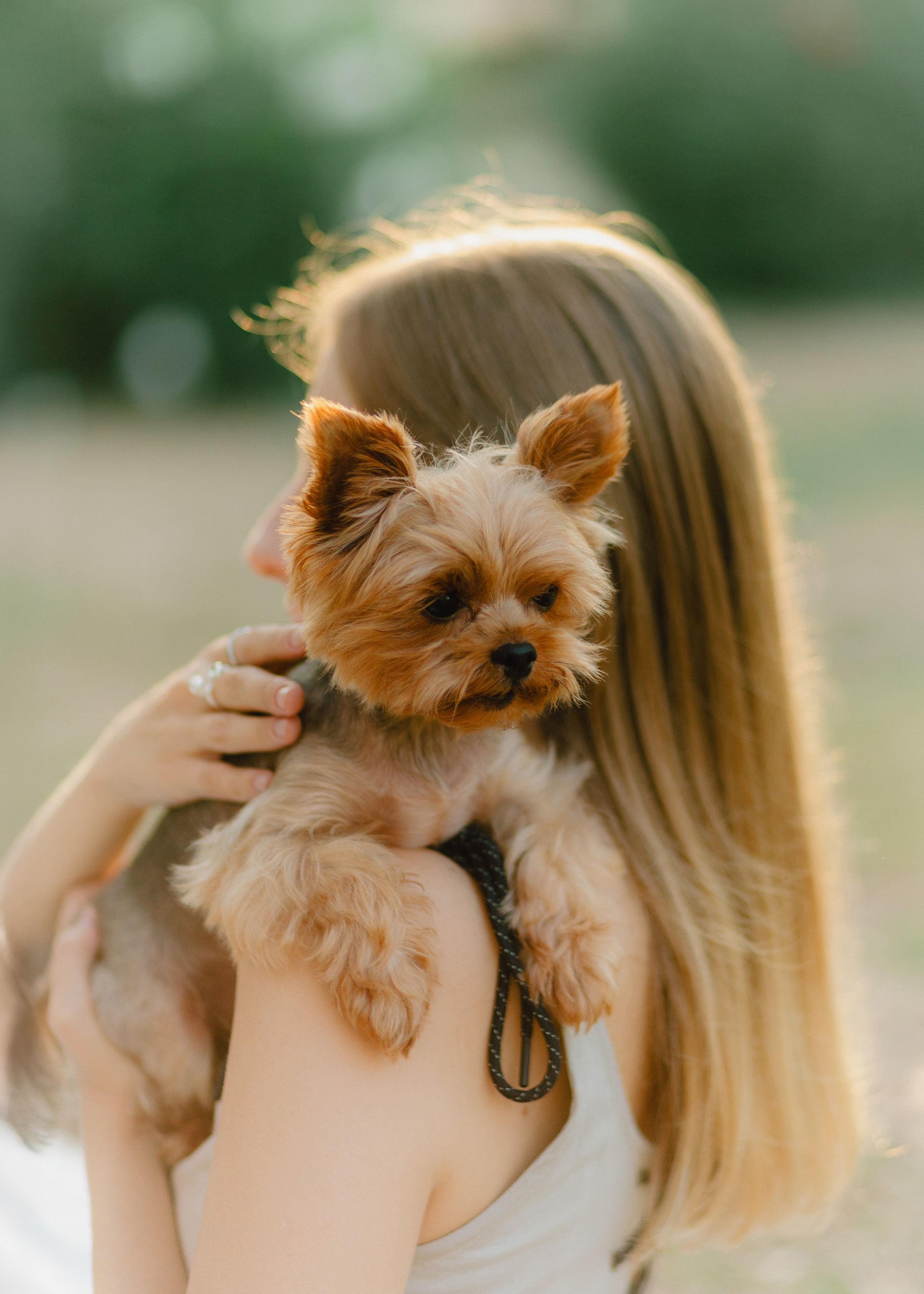 Julia & Her Playful Stitch. Barbara Isaeva