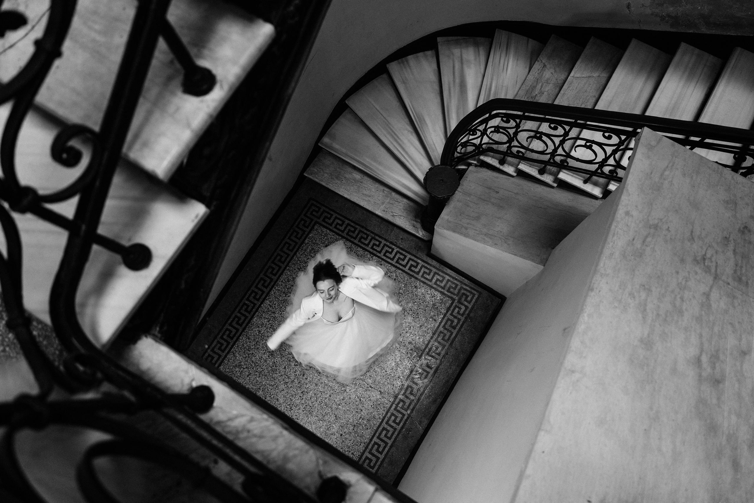 Пушистый свидетель