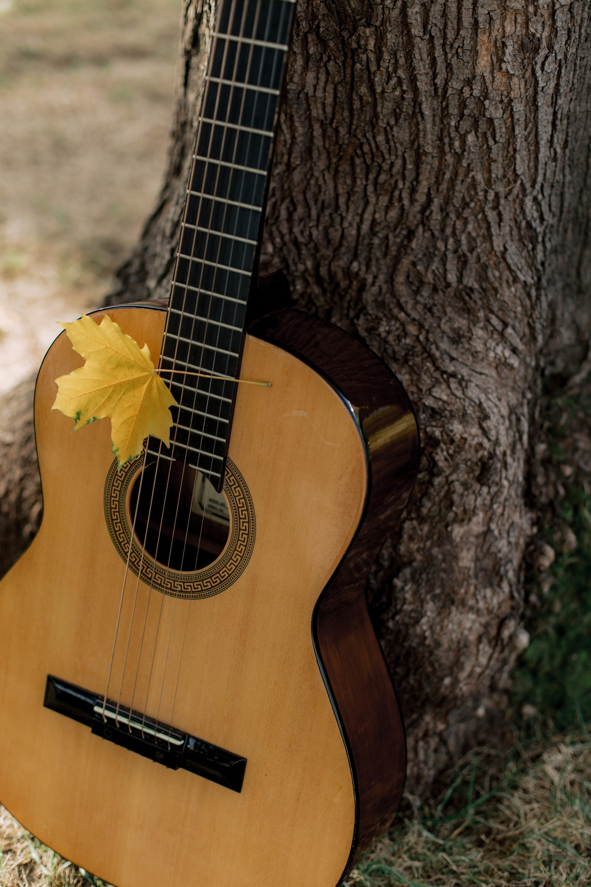 Про любовь. Автоспортивный бренд фотограф в Москве — Виктория Логинова