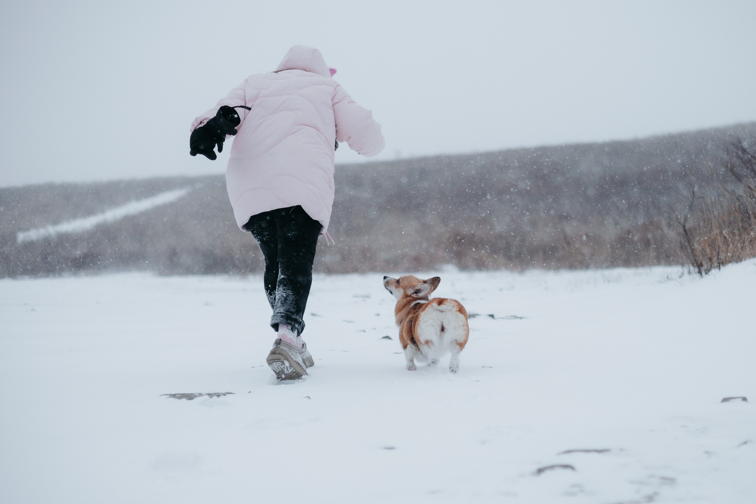 Лена, Лиза и Мия. Фотограф — анималист Владивосток, Алина