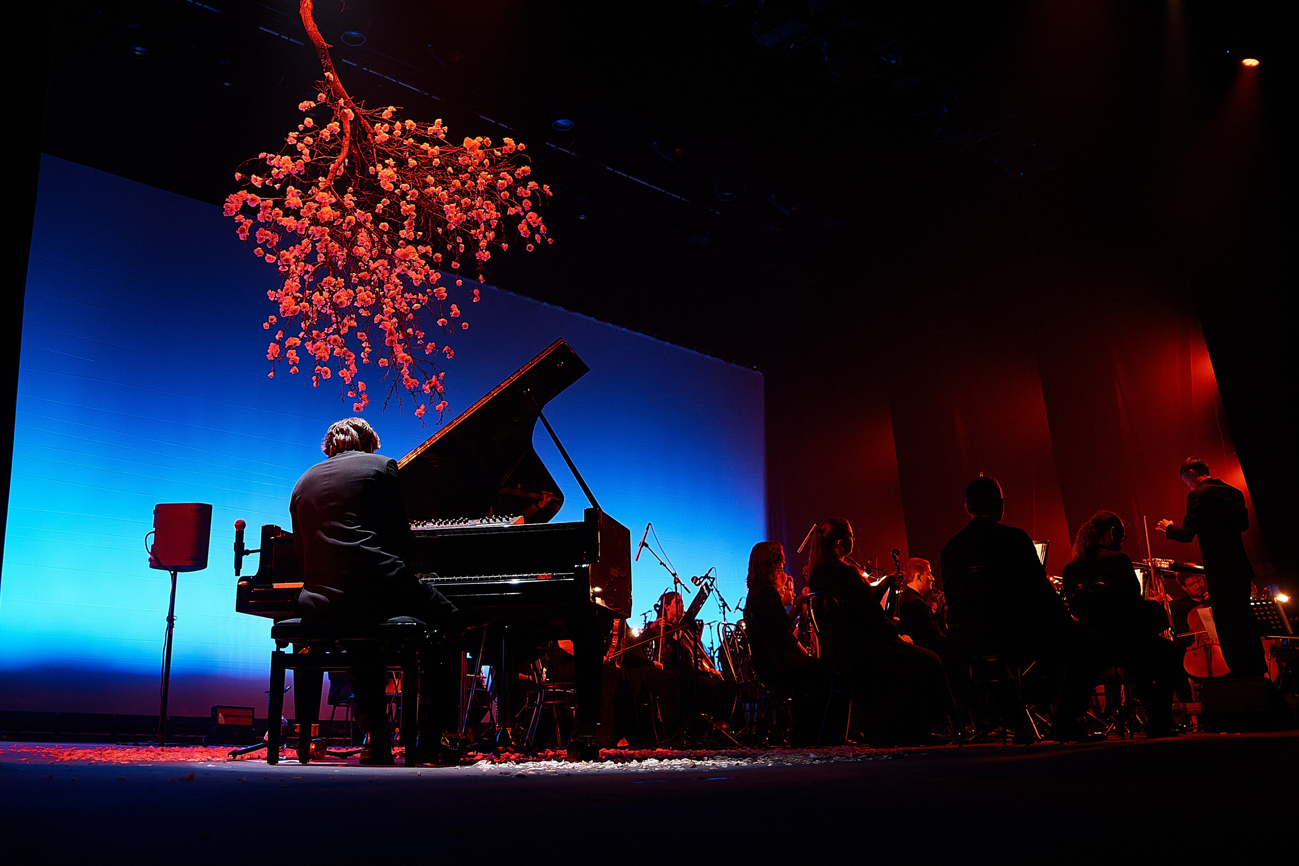 Никола Мельников / 2024. OOPS