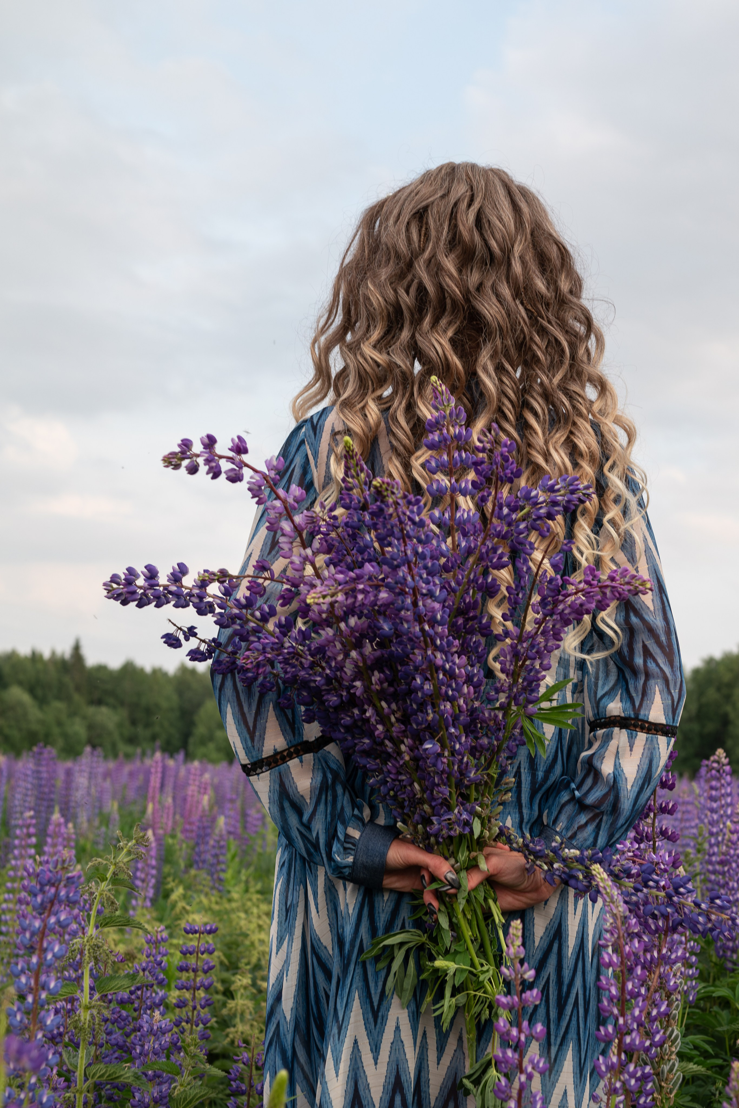 Люпины. Светлана Агалакова Фотограф