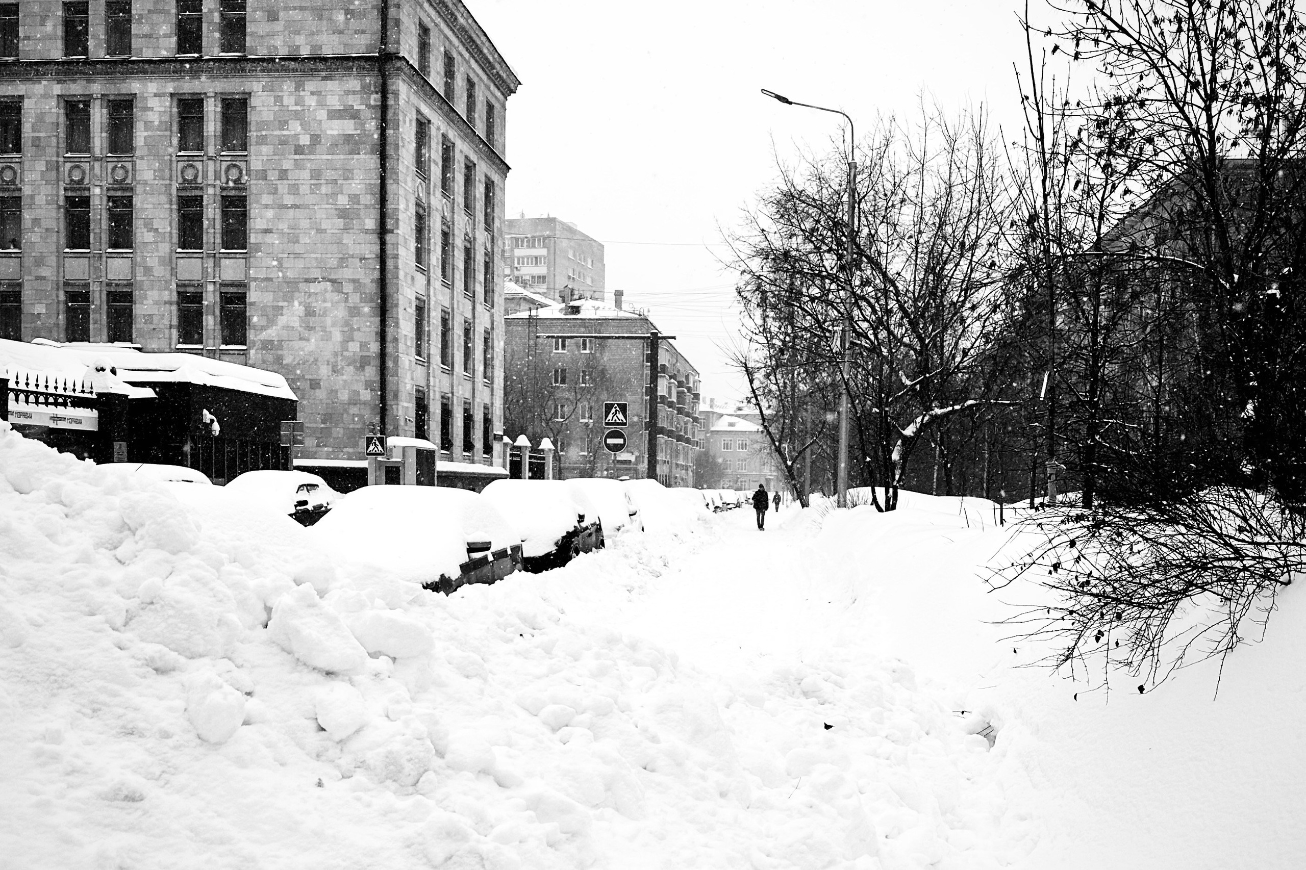 Чёрно-белая зима 25-26. Фотосессии и репортаж — Фотограф в Москве — Рина Серёгина