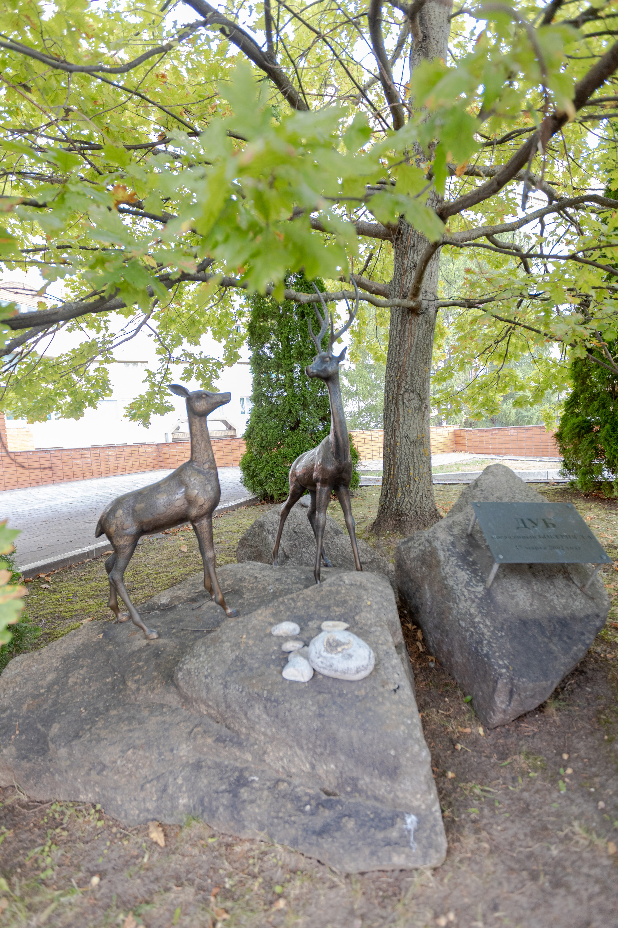Кардеологический центр им. Бакулева (г. Москва). Фотограф в Туле Крупский АнДРей. Фотостудия «КАДР71» в Туле
