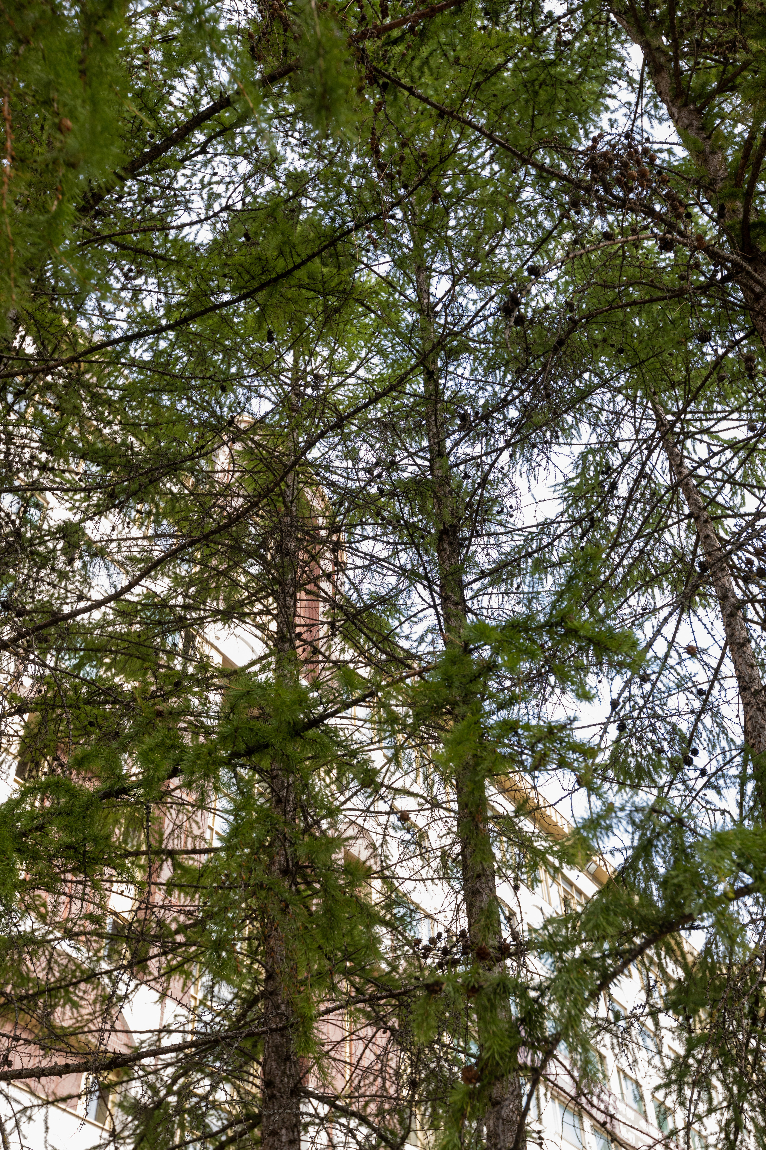 Кардеологический центр им. Бакулева (г. Москва). Фотограф в Туле Крупский АнДРей. Фотостудия «КАДР71» в Туле