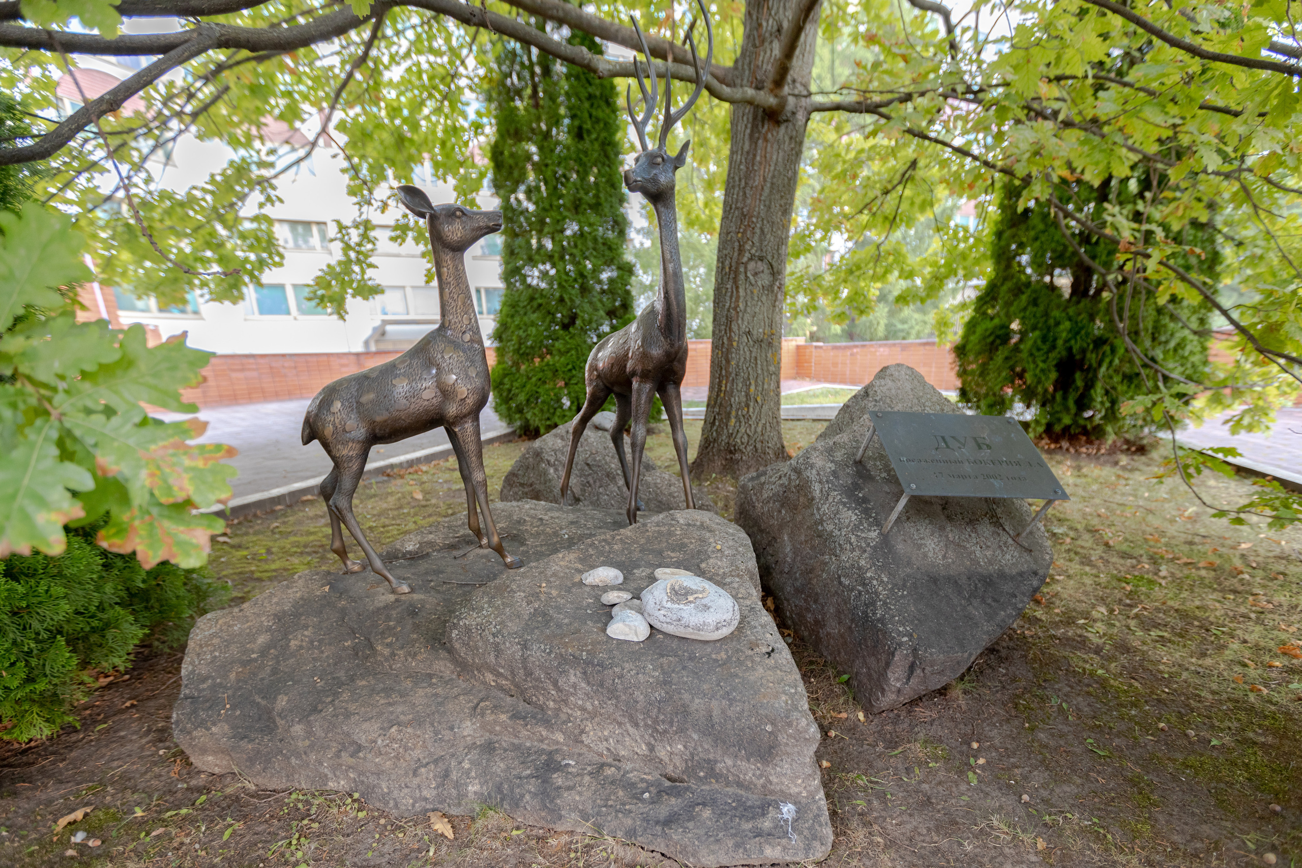 Кардеологический центр им. Бакулева (г. Москва). Фотограф в Туле Крупский АнДРей. Фотостудия «КАДР71» в Туле