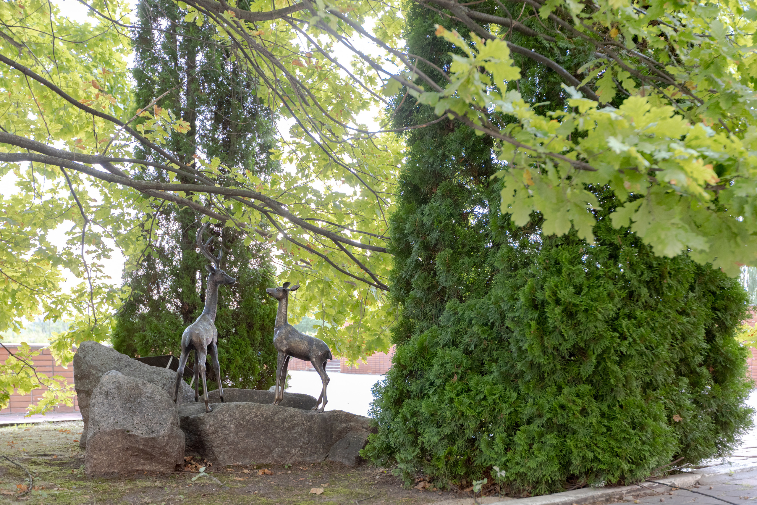 Кардеологический центр им. Бакулева (г. Москва). Фотограф в Туле Крупский АнДРей. Фотостудия «КАДР71» в Туле