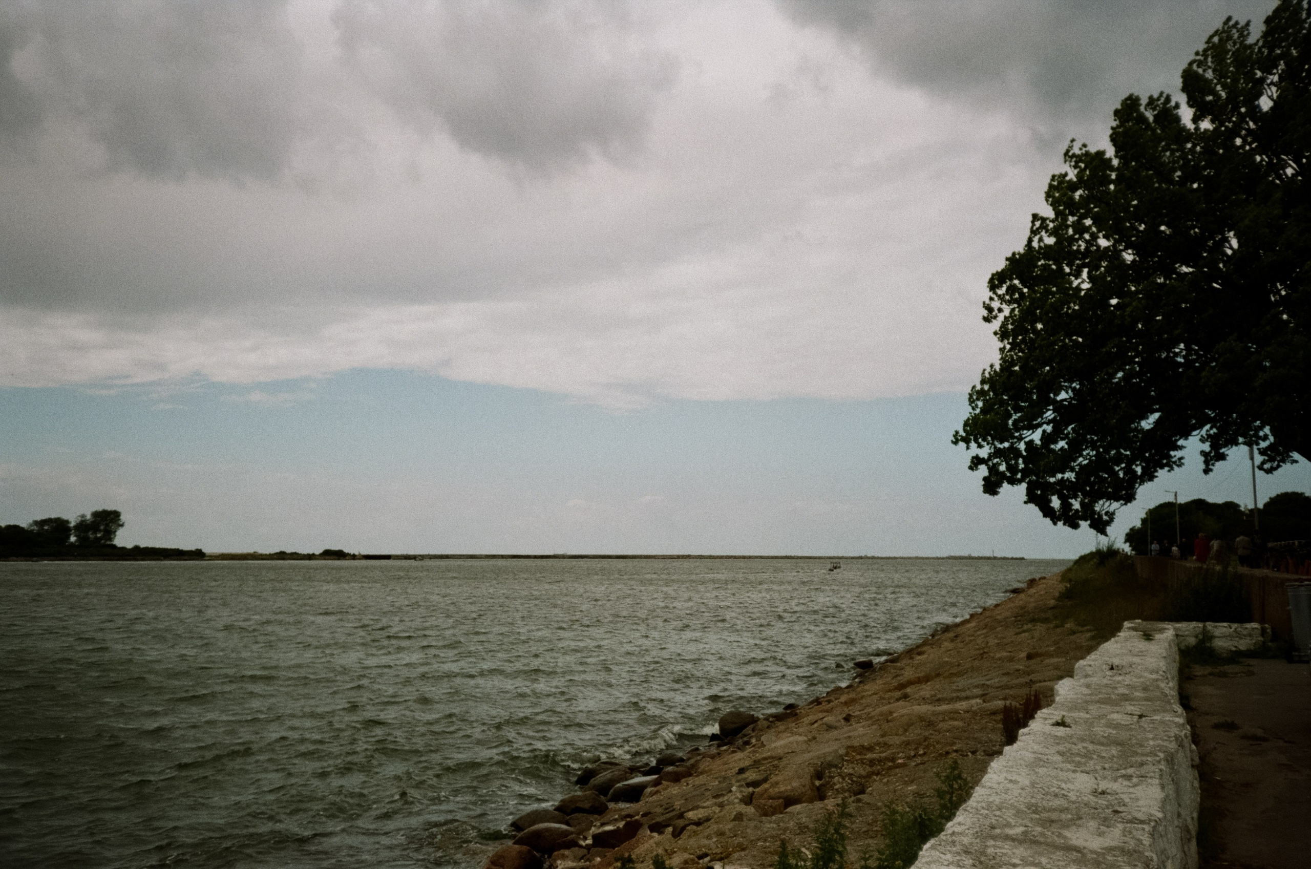 Танцующий лес на Куршской косе. Маяк и корабли в Балтийске. Фотограф-документалист Мария Осокина