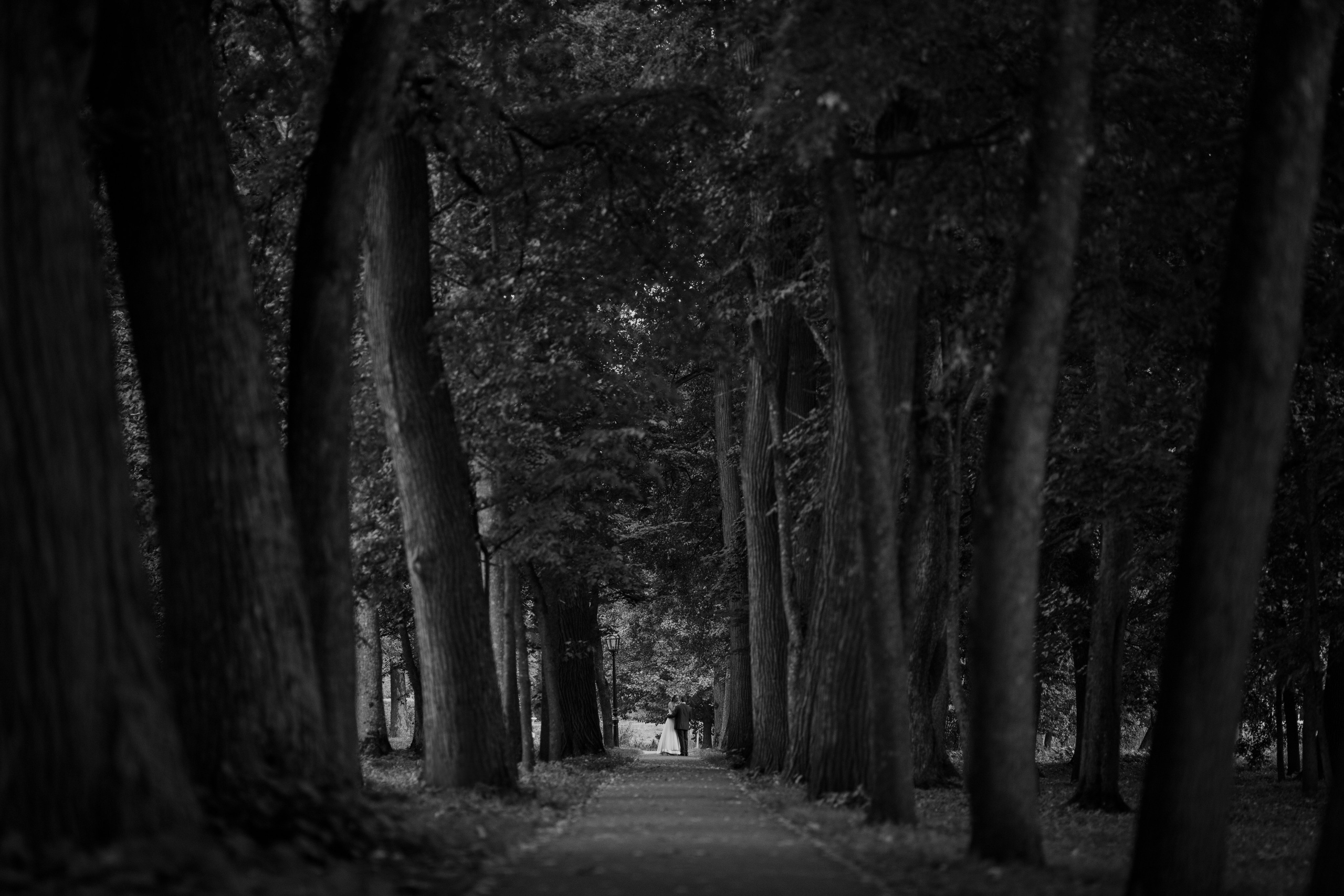 Свадьбы. Фотограф Александра Рышкова