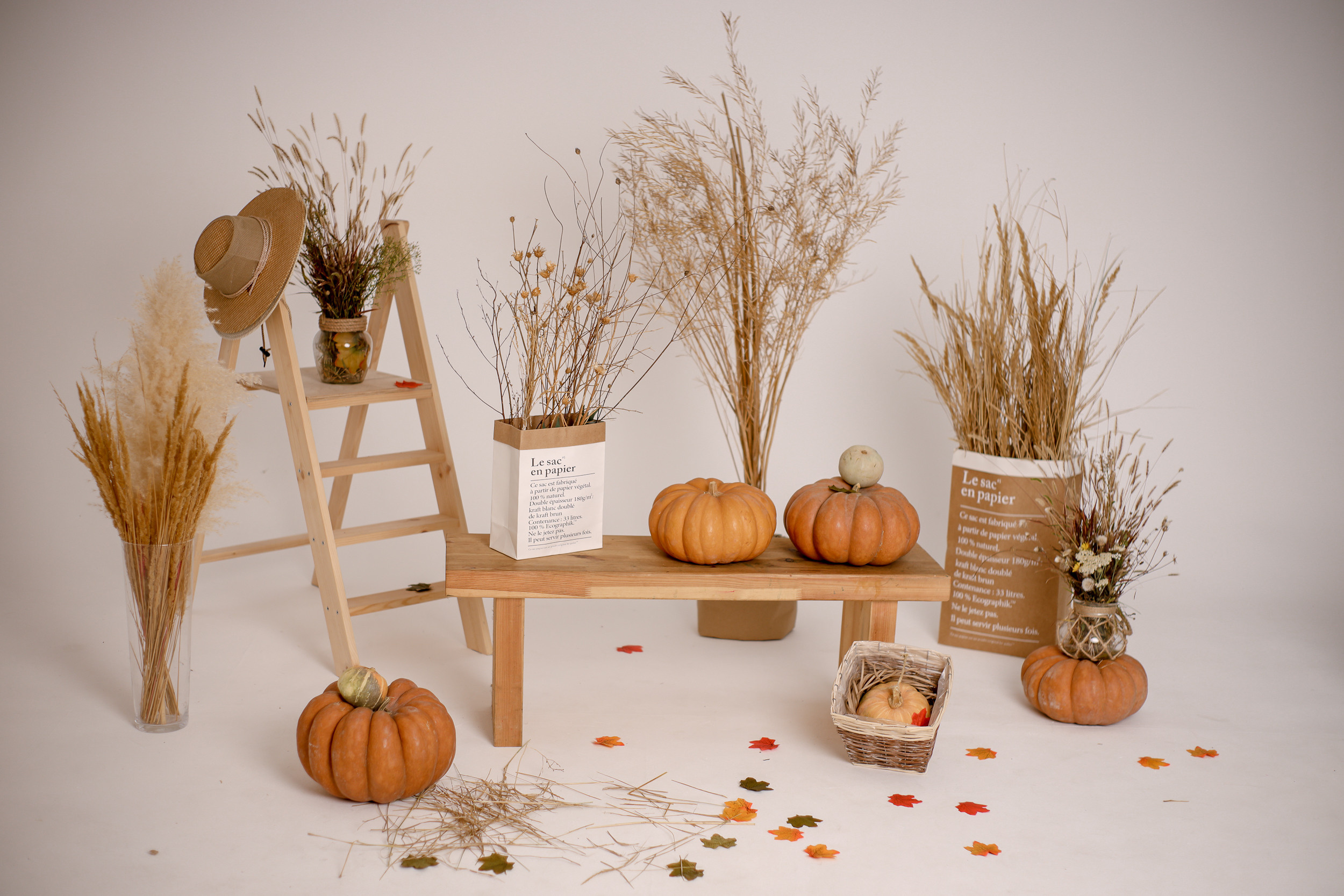 Осенние мини-сессии в студии. Коммерческий фотограф Яна Беличенко Анапа Краснодарский край