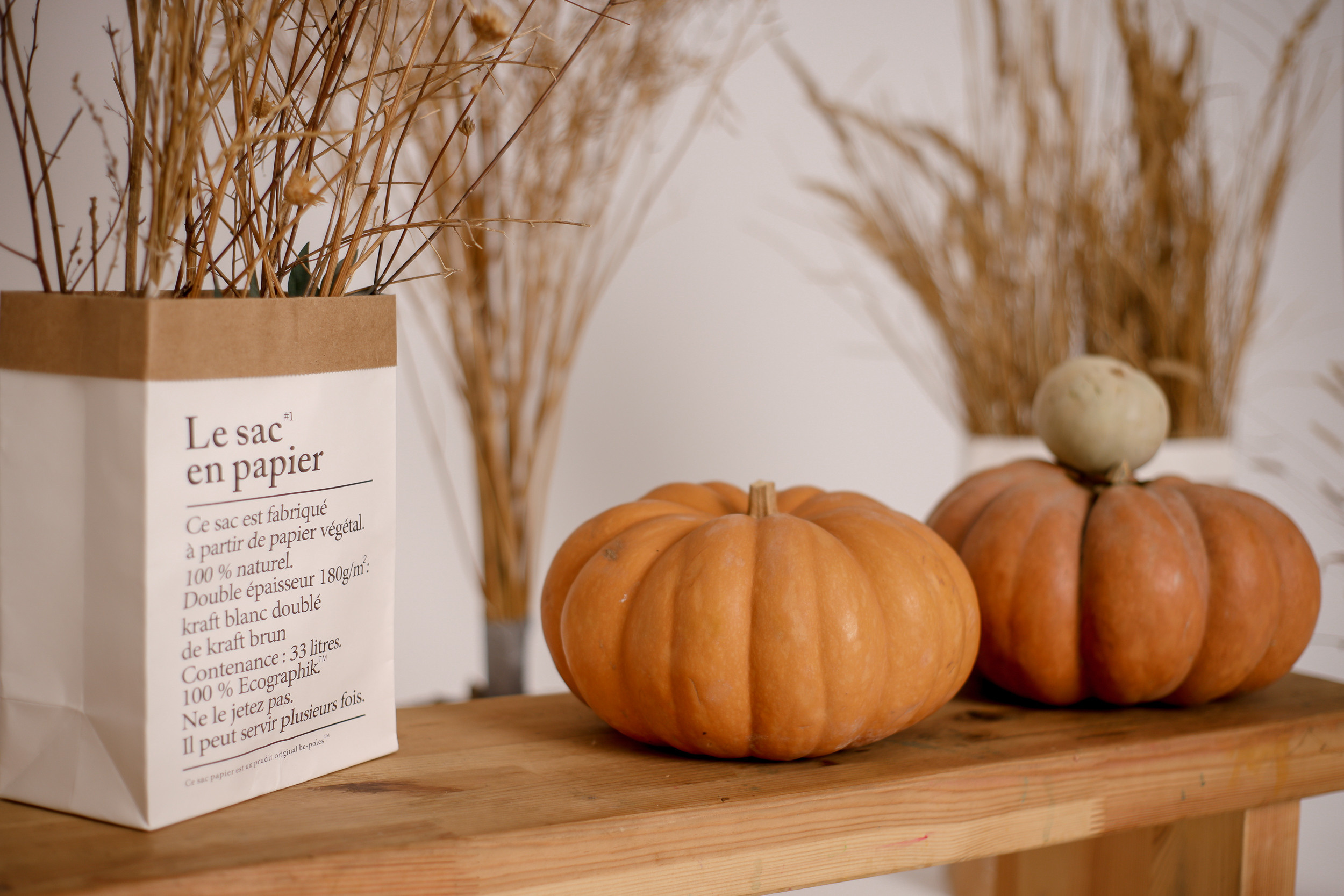 Осенние мини-сессии в студии. Коммерческий фотограф Яна Беличенко Анапа Краснодарский край