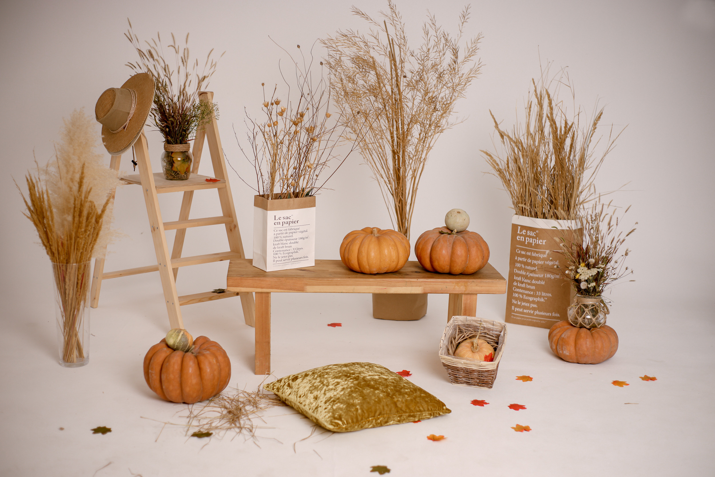 Осенние мини-сессии в студии. Коммерческий фотограф Яна Беличенко Анапа Краснодарский край