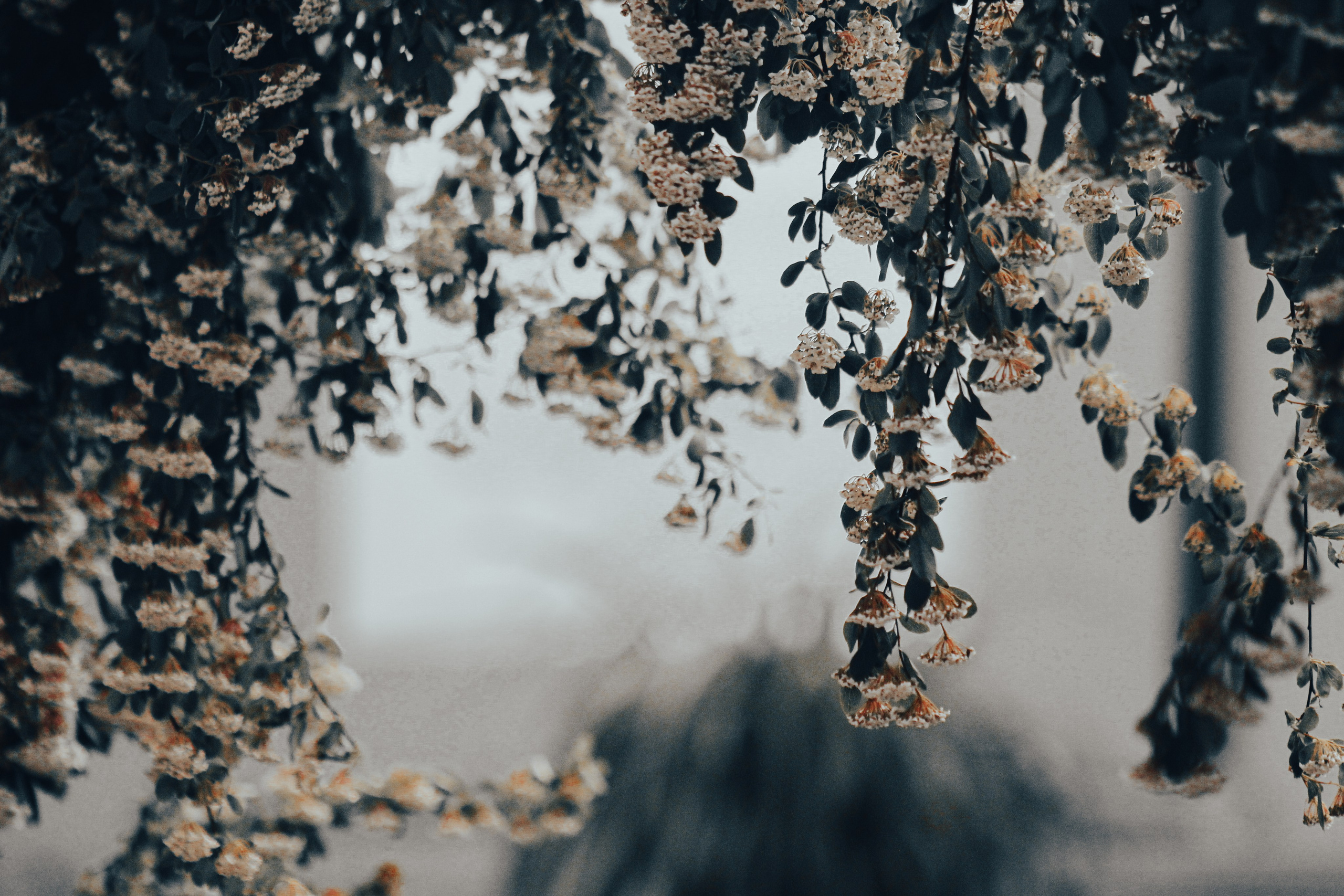 Никита и Ангелина. Илья Чемис — Фотограф в Мариуполе