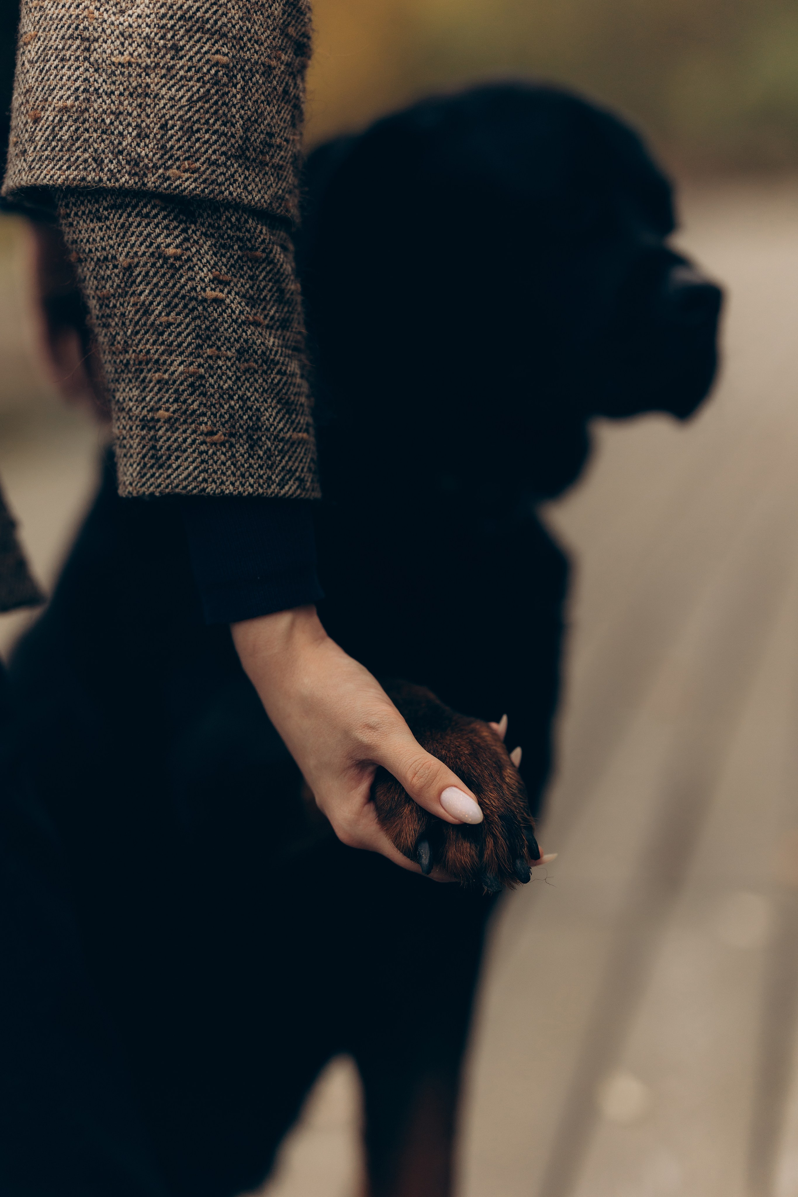 Маша и Лель. Татьяна Афонина | Фотограф