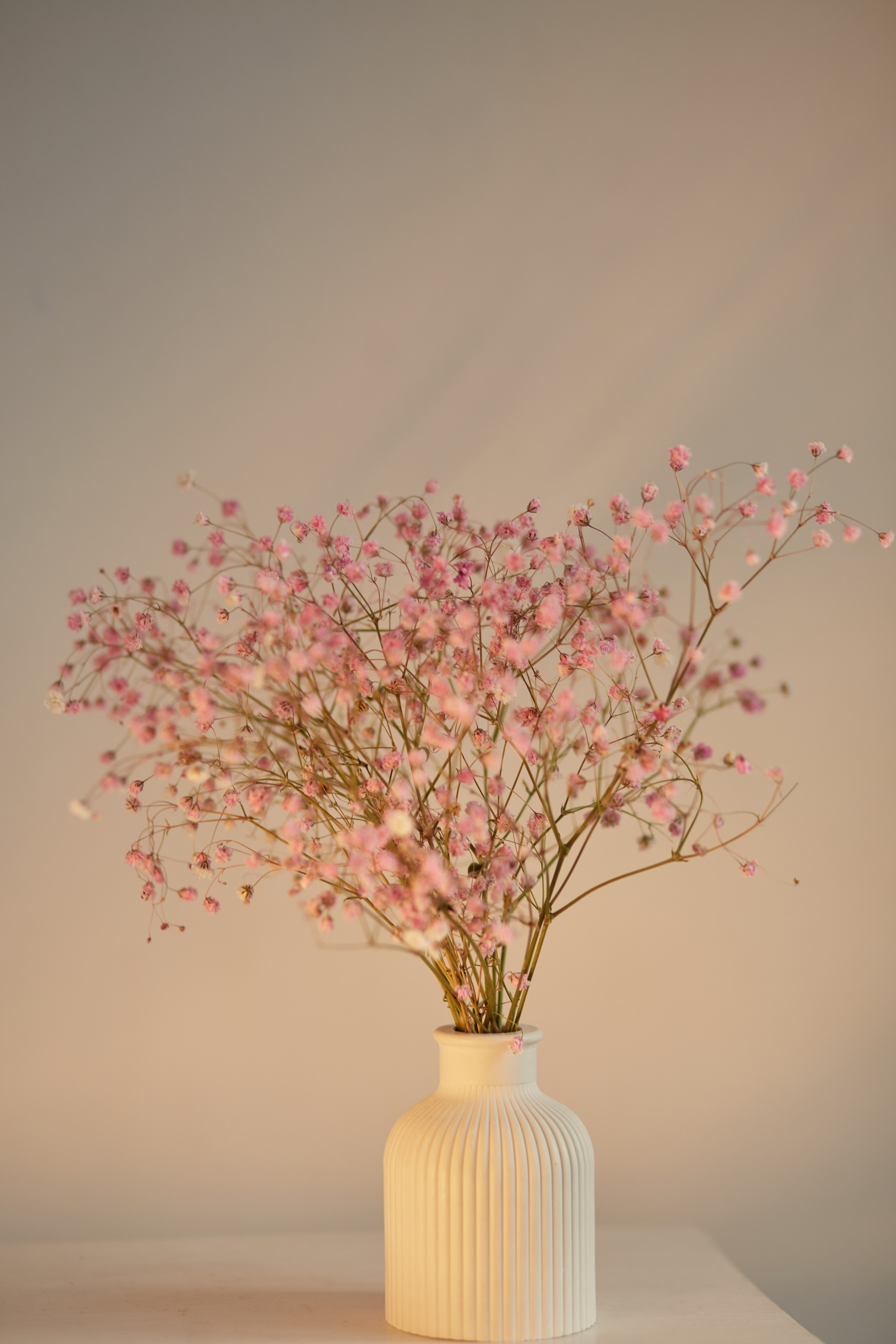 Фотостудия Prosvet. Frame Craft