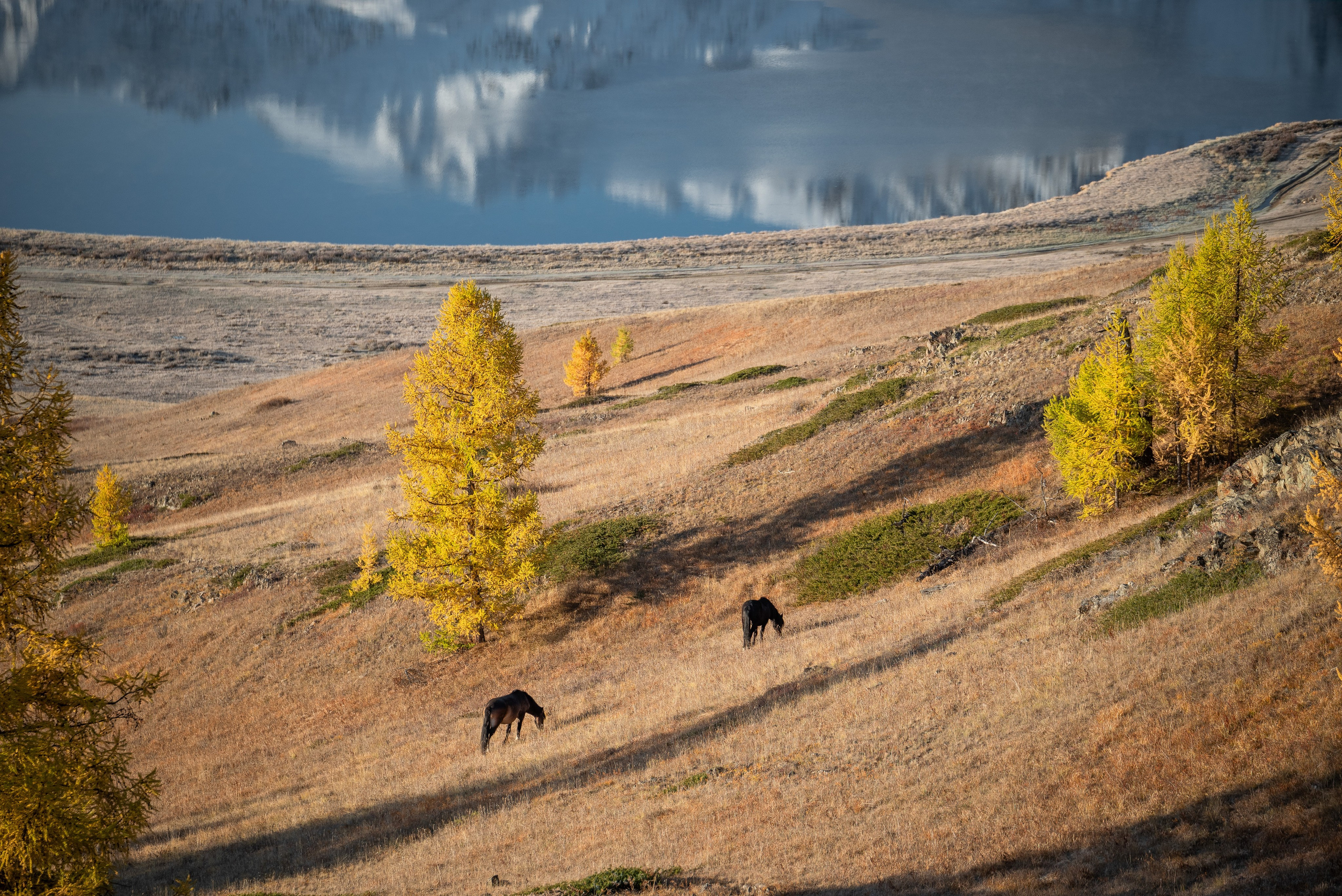 Горный Алтай. Фотограф Антон Денисенко: Портрет, Документалистика, Пейзаж. Москва