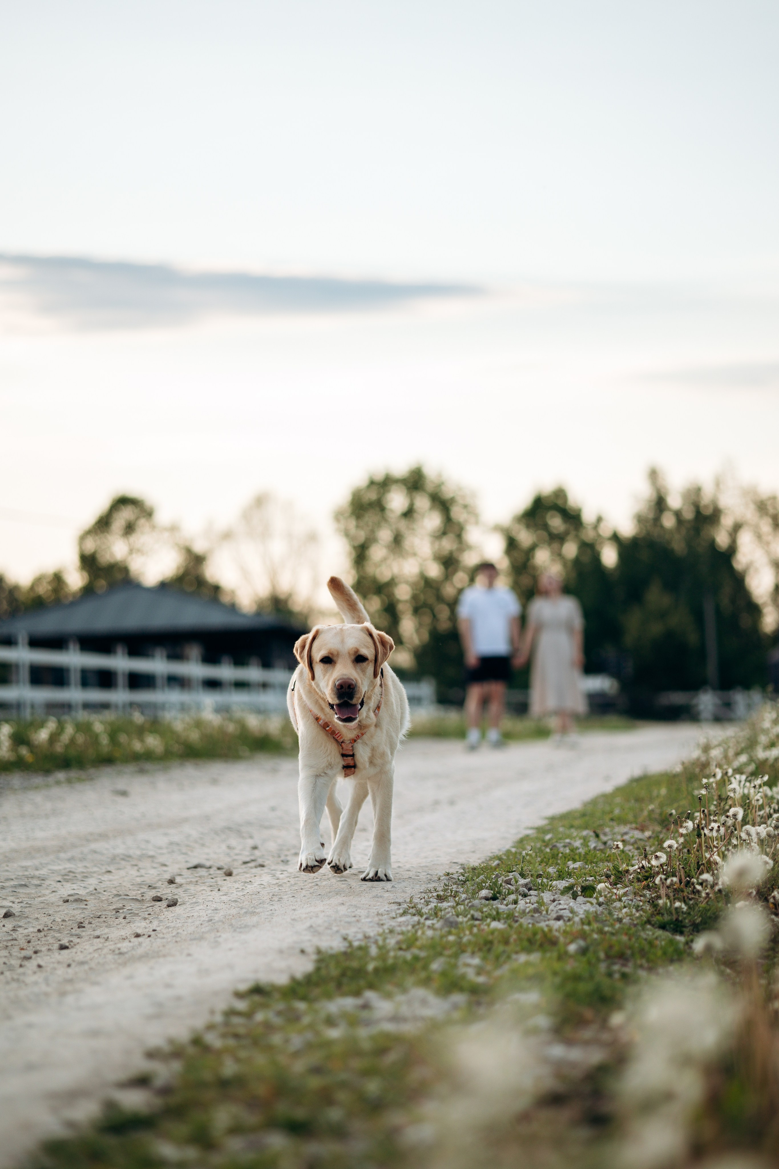 Шани и ее семья. Фотограф — Анималист | Санкт-Петербург