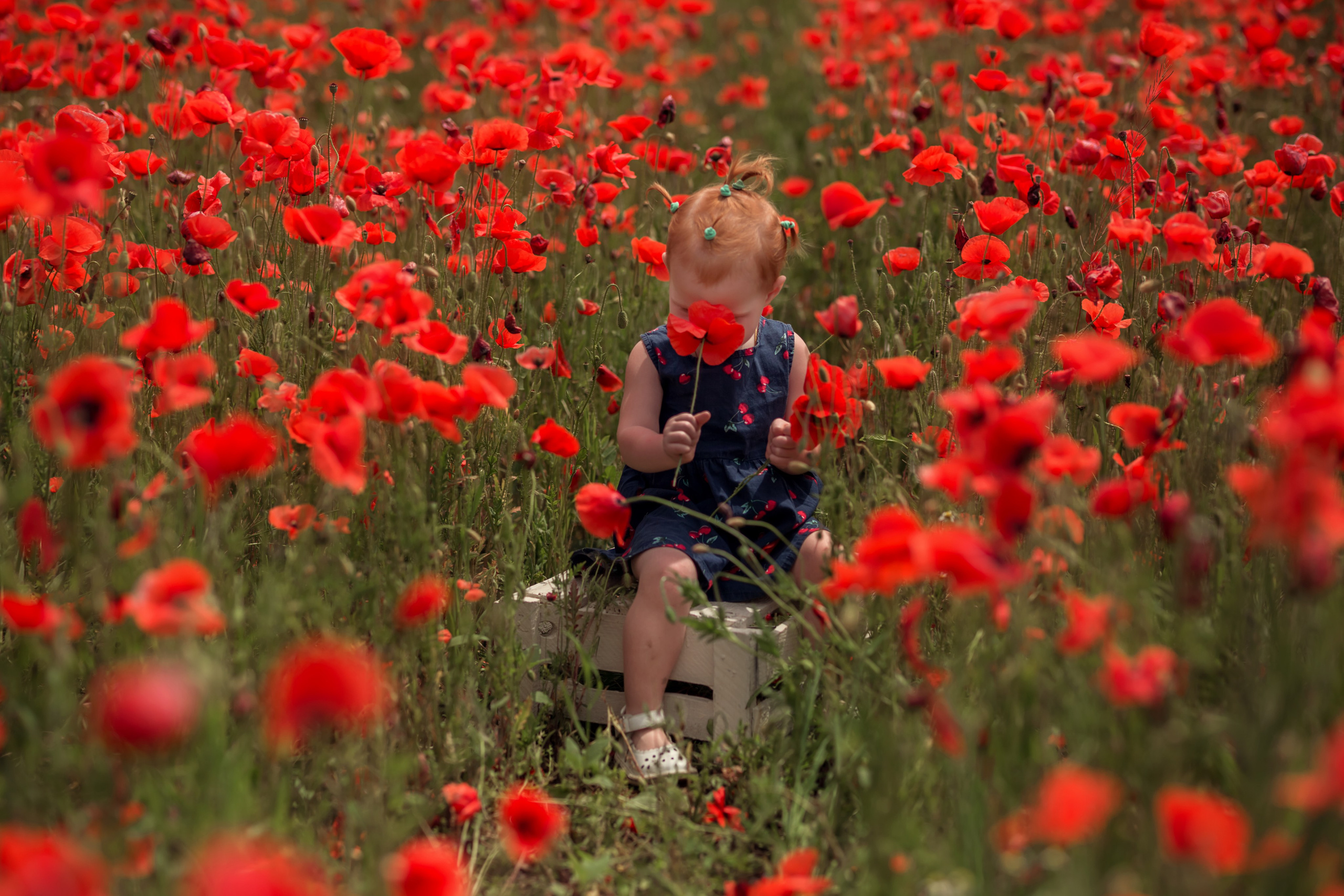 Маковое поле. Семейный и детский фотограф Екатерина Савёлова