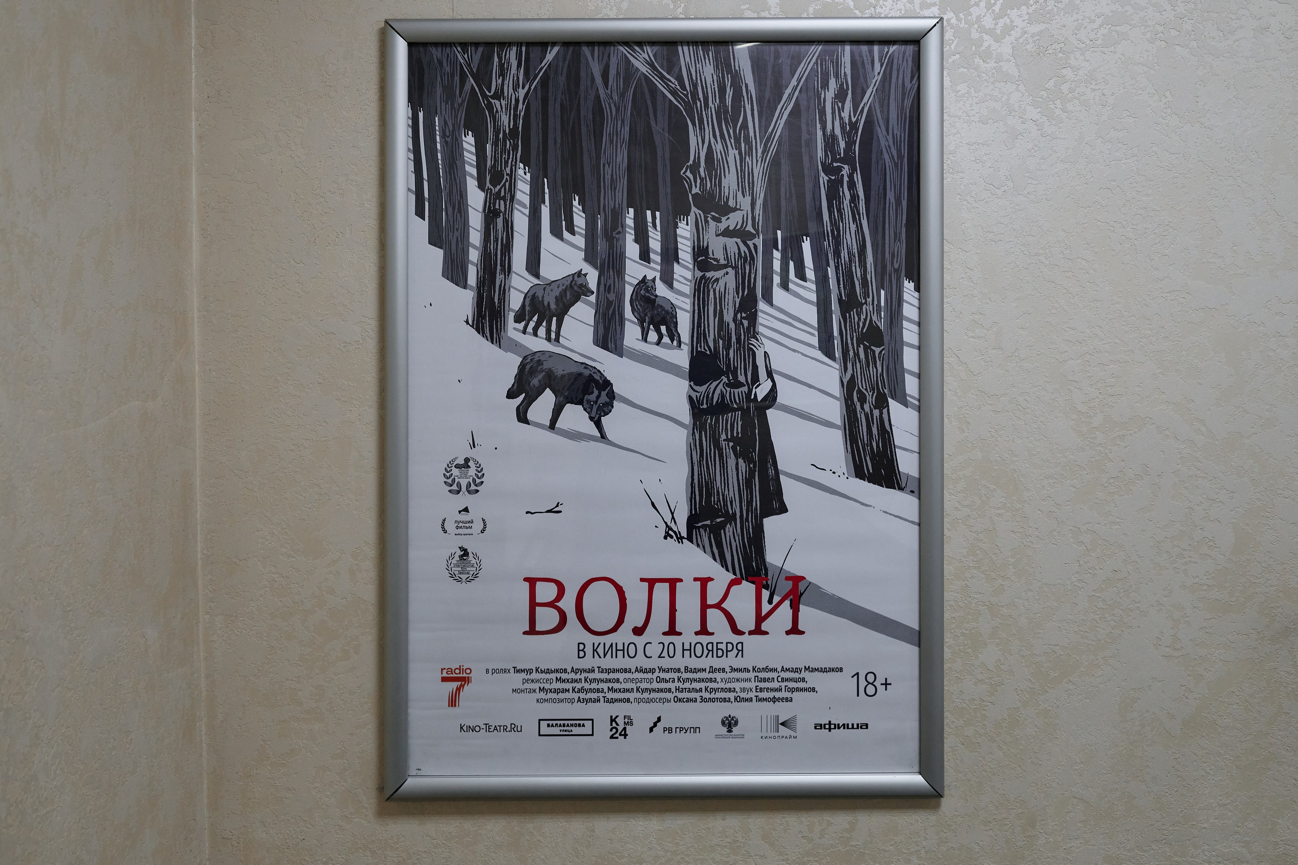 Волки — премьера. Фотограф Опыт Качество Скорость Горный Алтай Барнаул