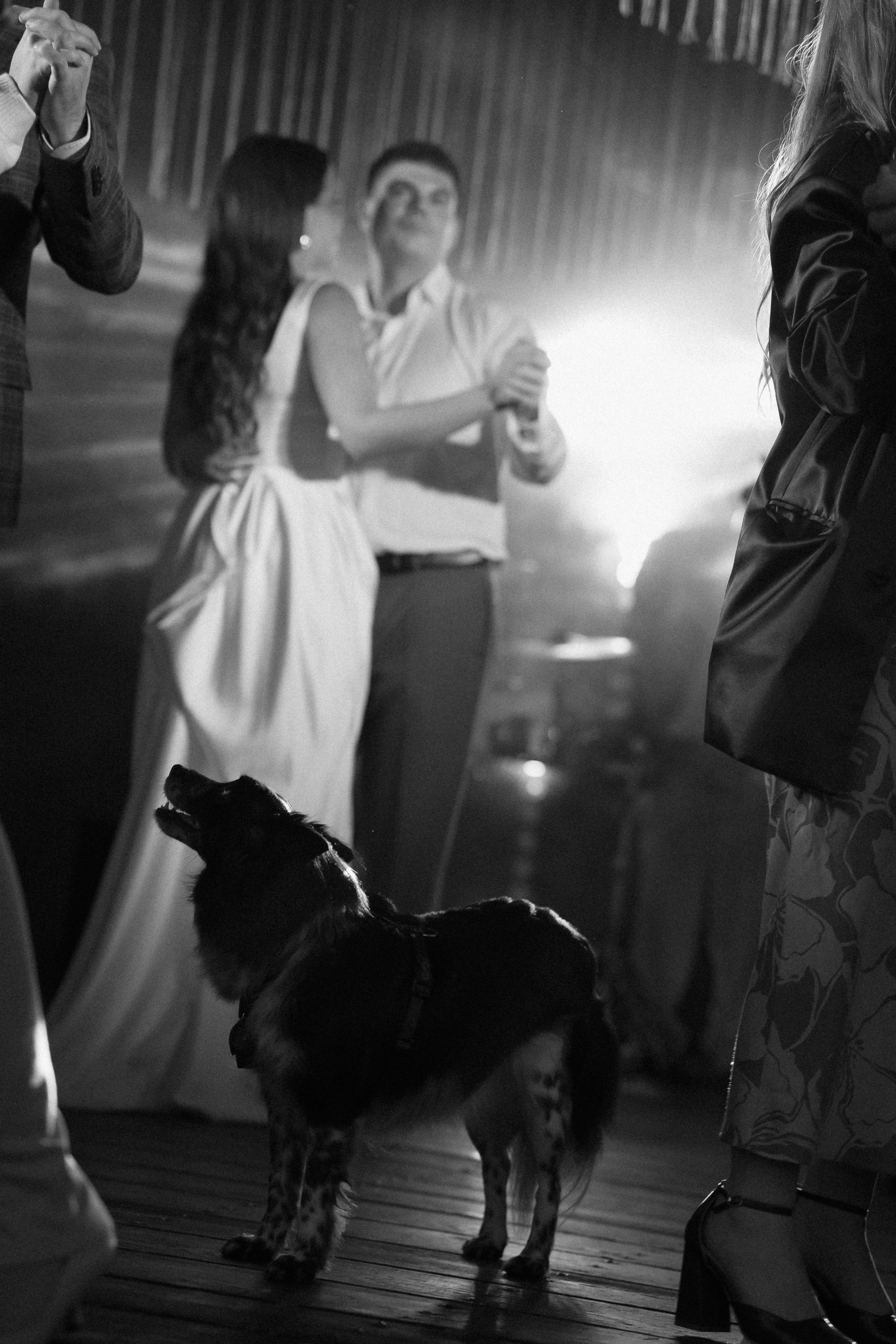 Римские каникулы. Свадебный фотограф Москва Светлана Анисимова