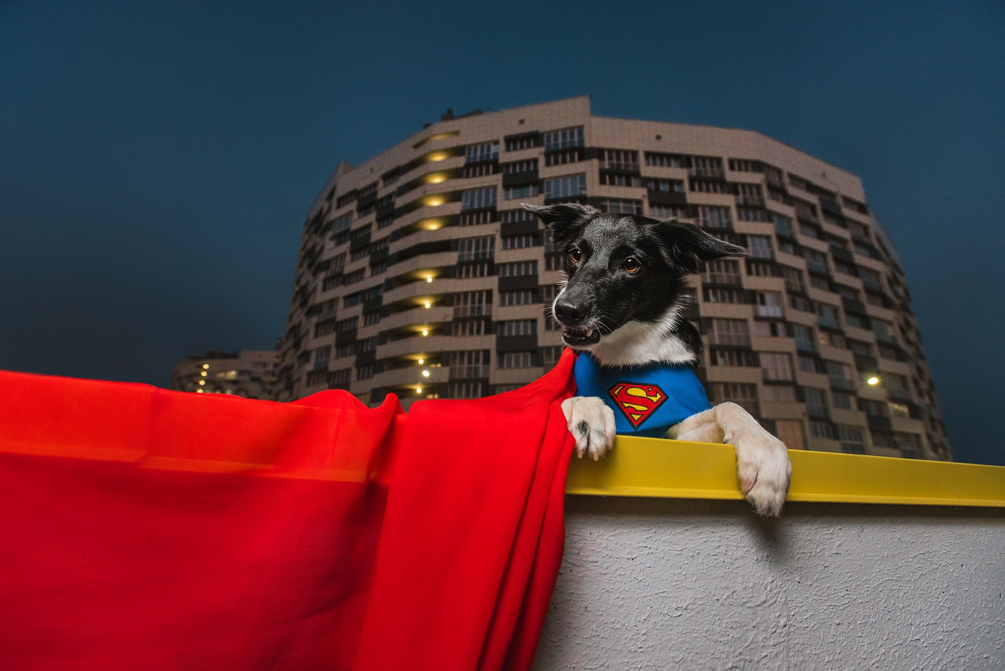 Чистое творчество. Фотограф Анна Тюрина