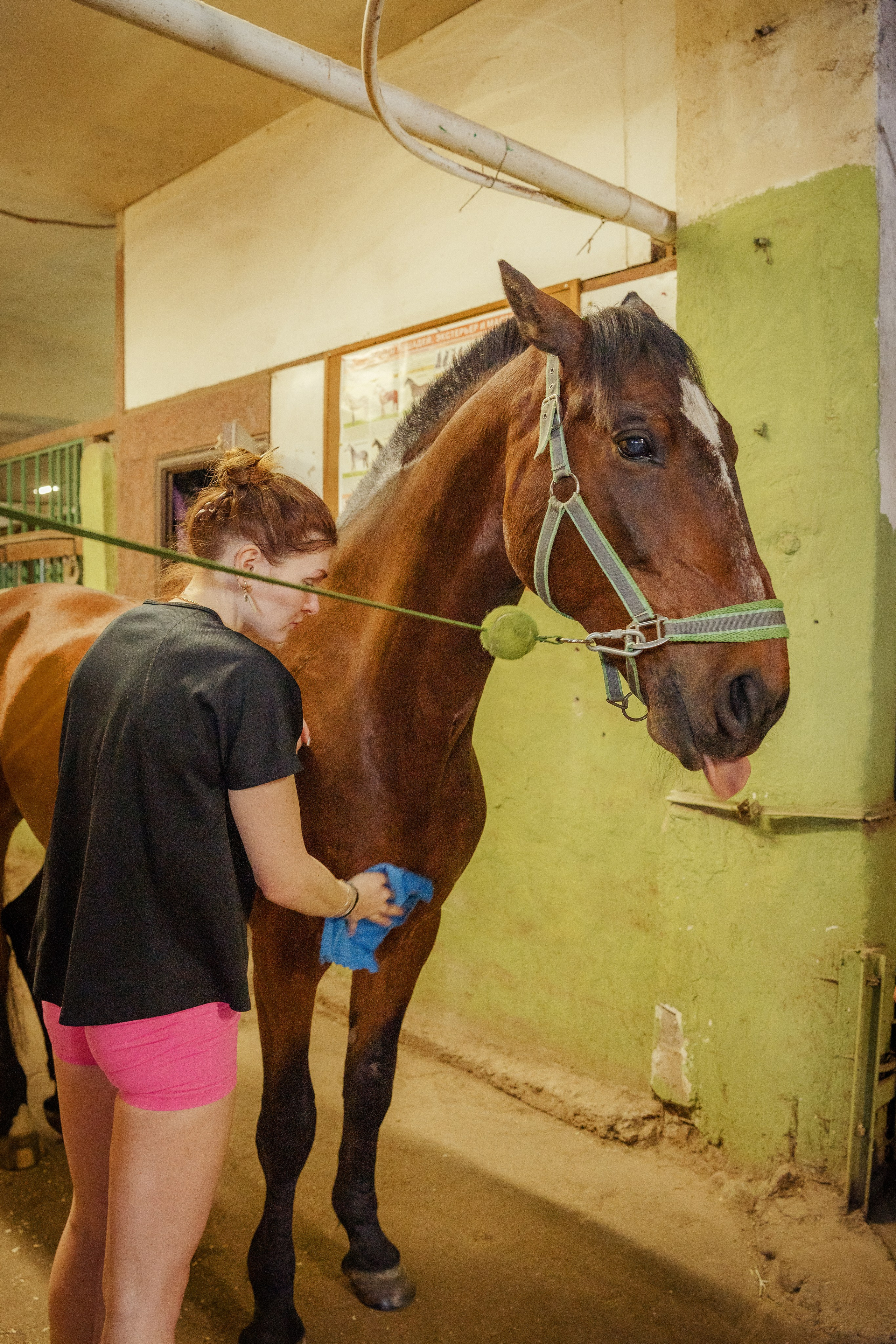 Конный клуб Горки. Портретный и семейный фотограф в Москве/Видное