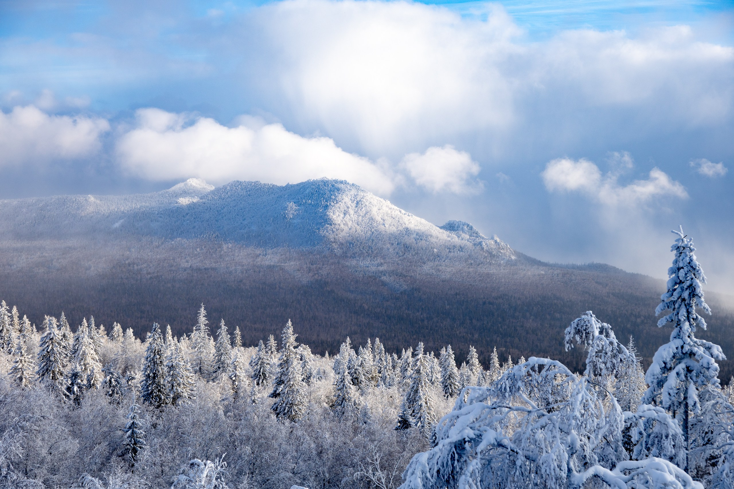 Черная скала. Sandman Realm