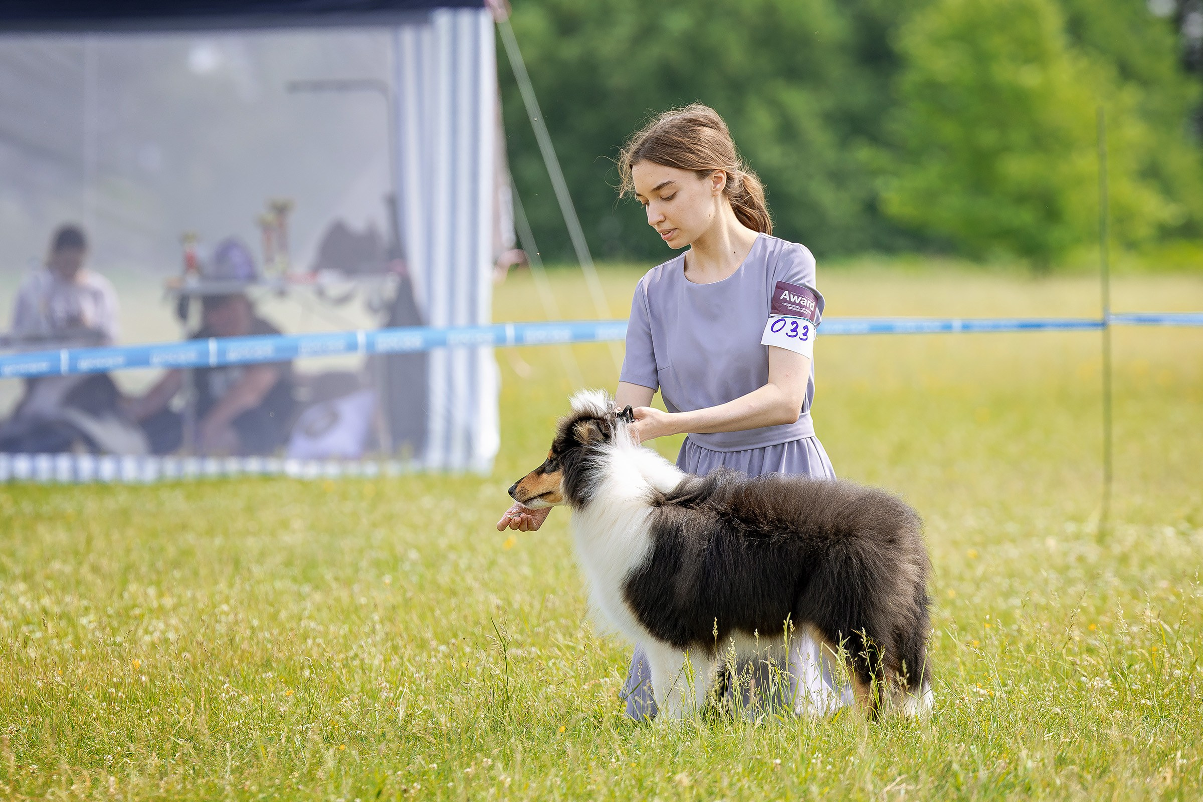 12 июня 2025, Выставка РКФ, Пермский край. Htykk_photo