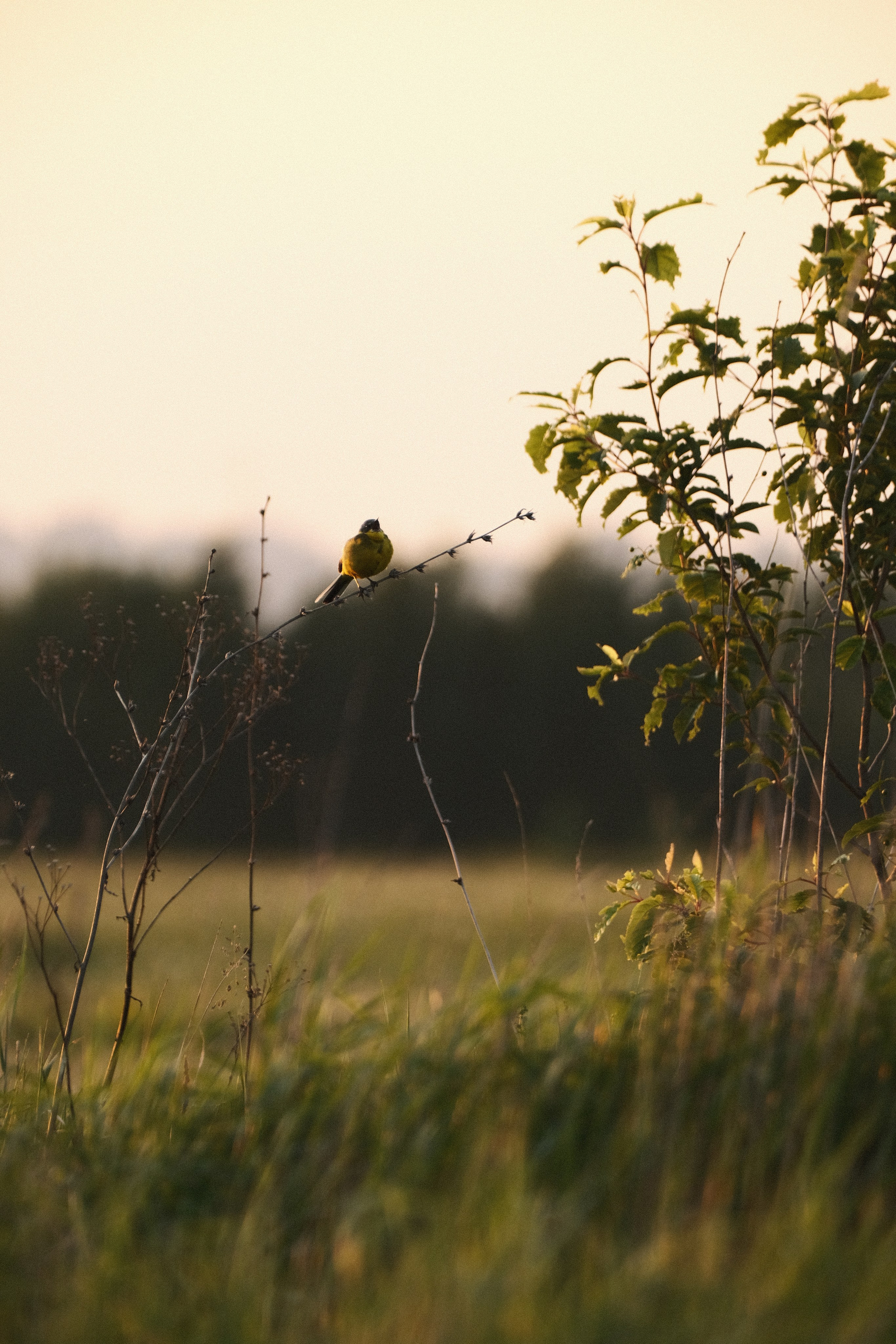 Пейзажи. Фотограф-любитель из Кирова Андрей Погребняк