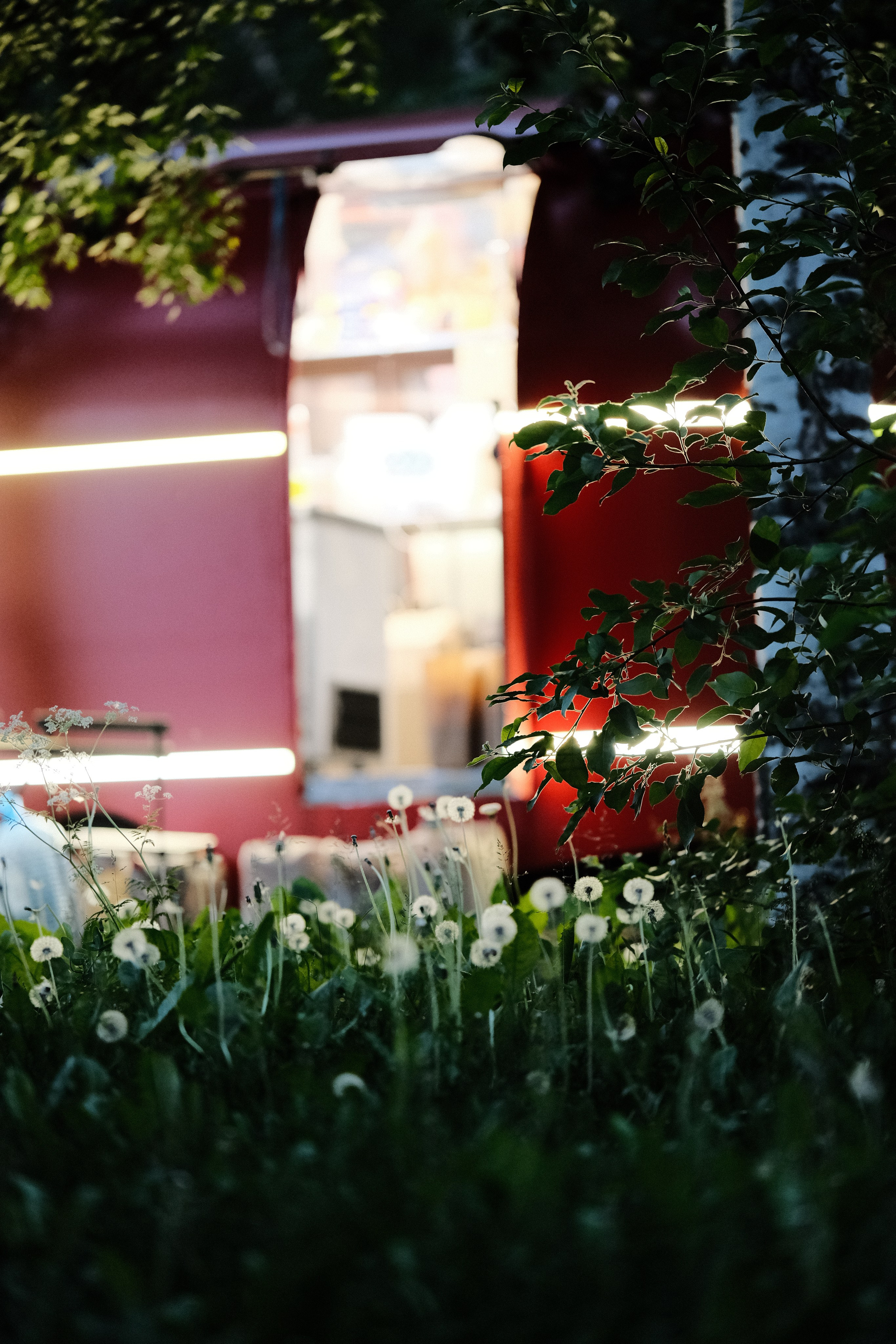 Стрит-фотография Сыктывкар. Фотограф-любитель из Кирова Андрей Погребняк