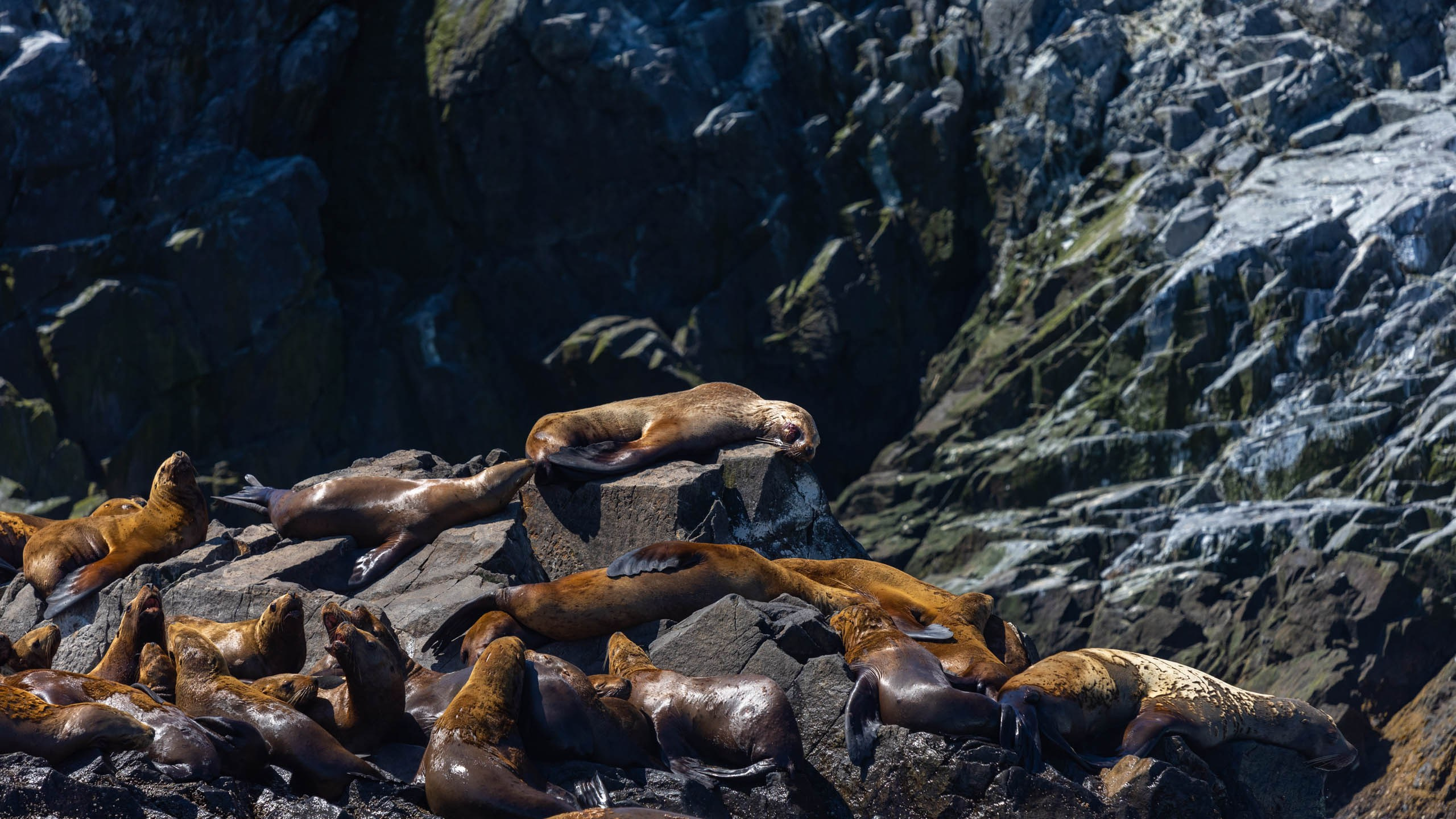 2023 07 Камчатка. Фотографии