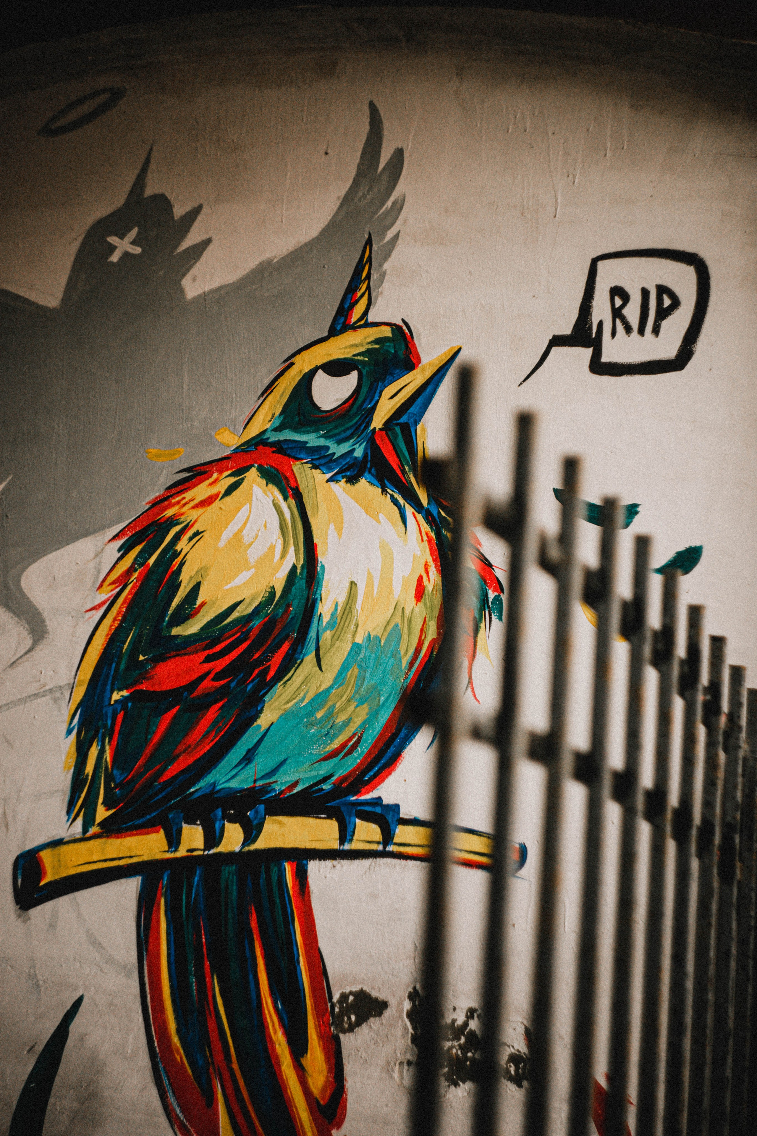 ФОТОПРОГУЛКА ПО Н.НОВГОРОДУ для туристов. Фотограф в Нижнем Новгороде