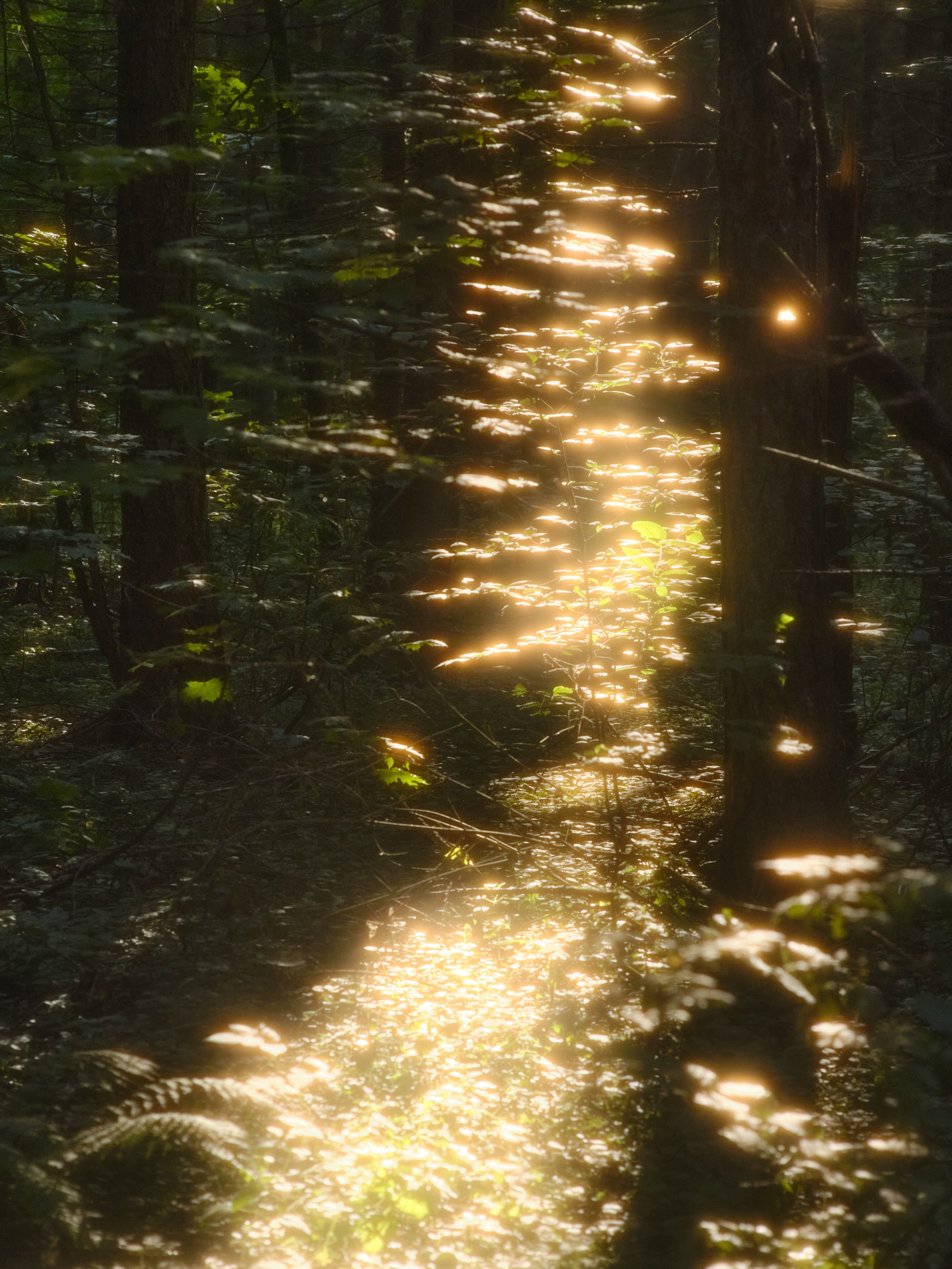 Фотограф Юлия Глазкова