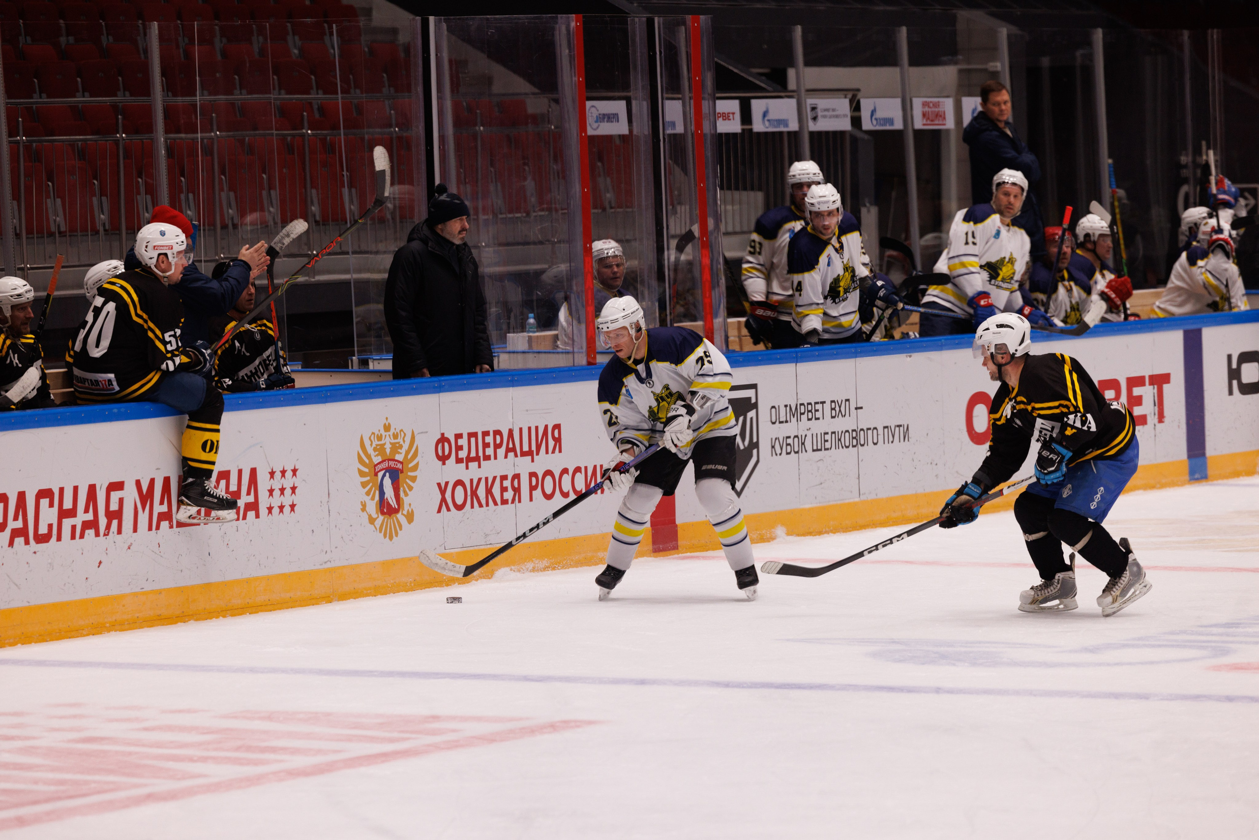 НХЛ (40+) Ижорец — Бульдозер 4-6. Фотограф Александр Заломаев
