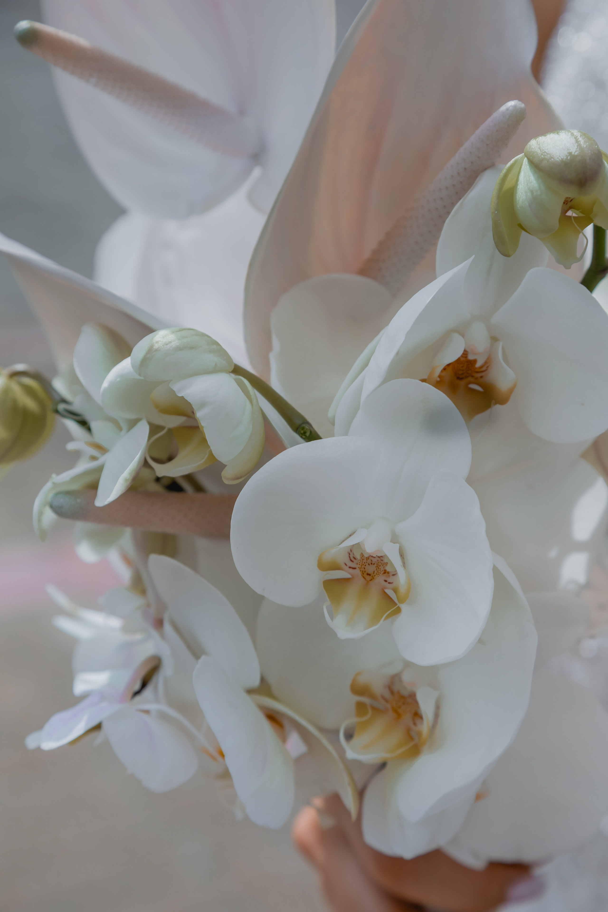 Мария и Дмитрий. Главная