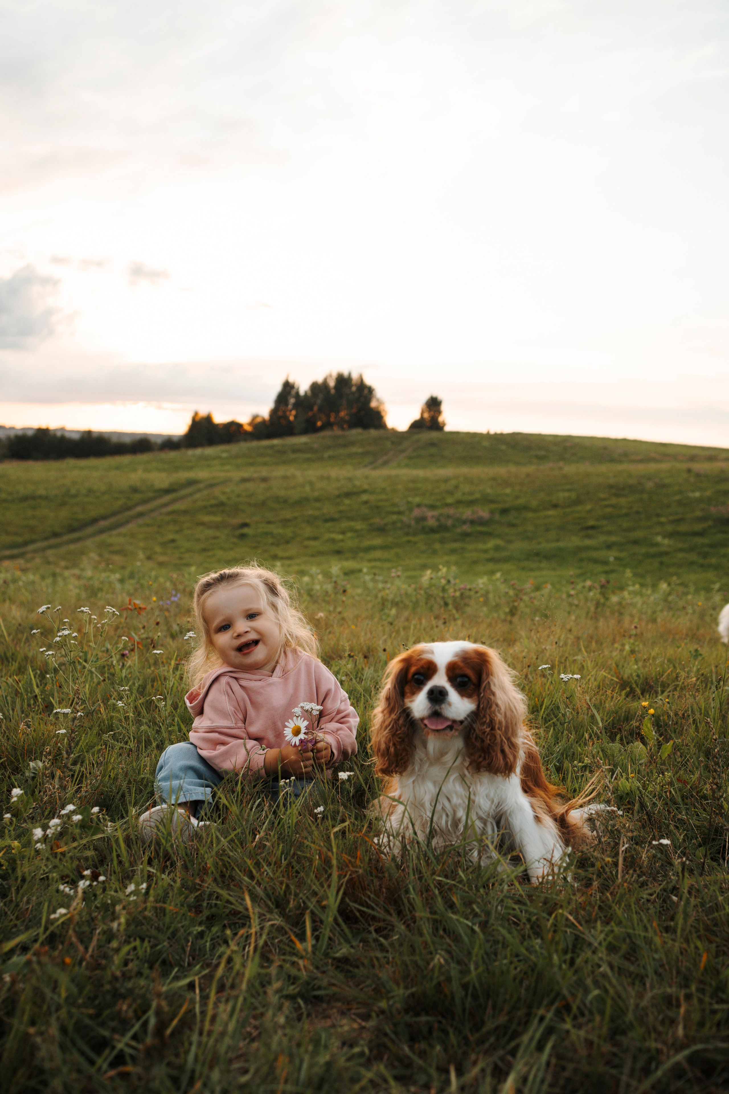 На закате Катерина, Луна и Рикки. Фотограф-анималист в Санкт-Петеребурге Титова Алиса