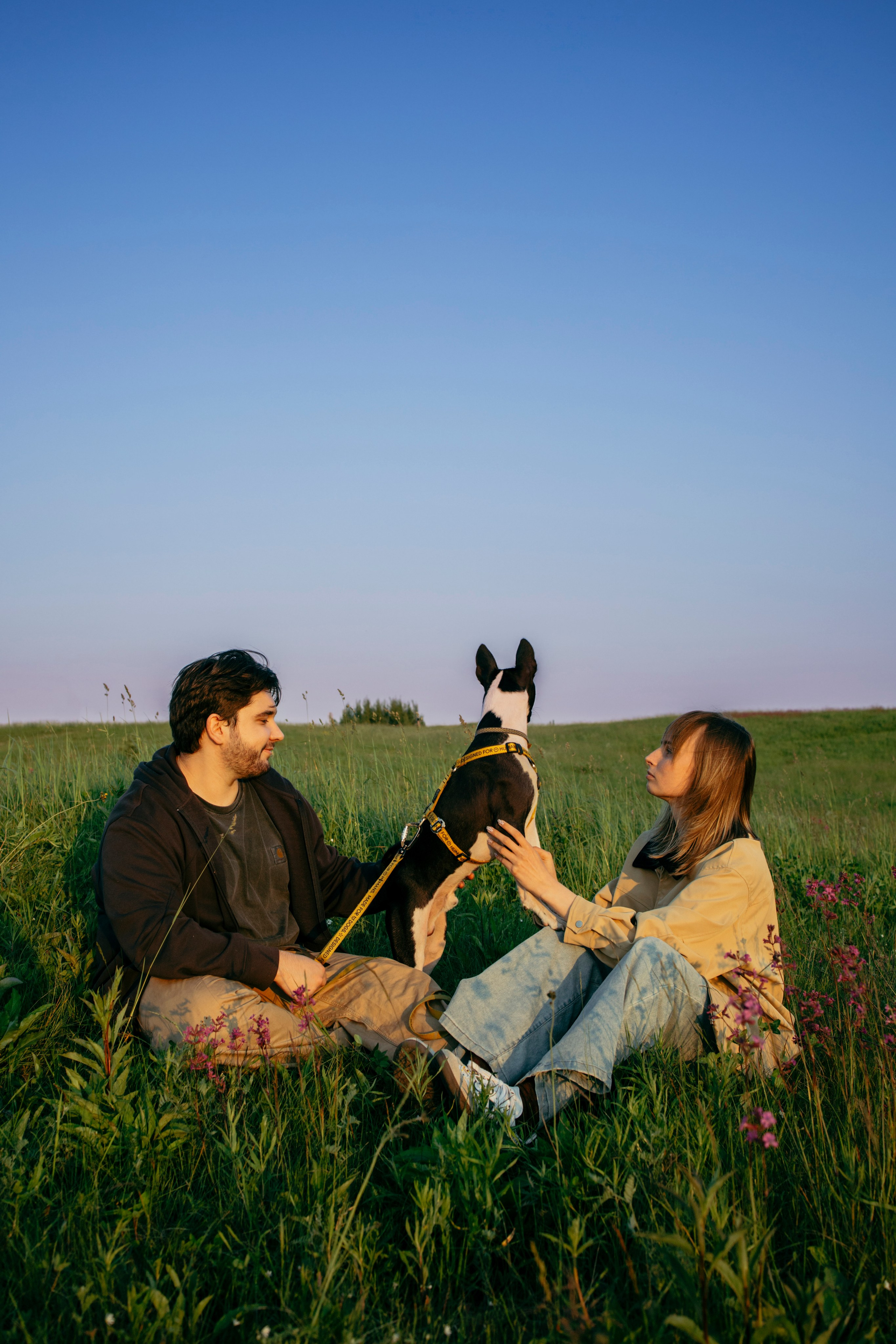 Итачи и его семья 🐾. Фотограф-анималист в Санкт-Петеребурге Титова Алиса