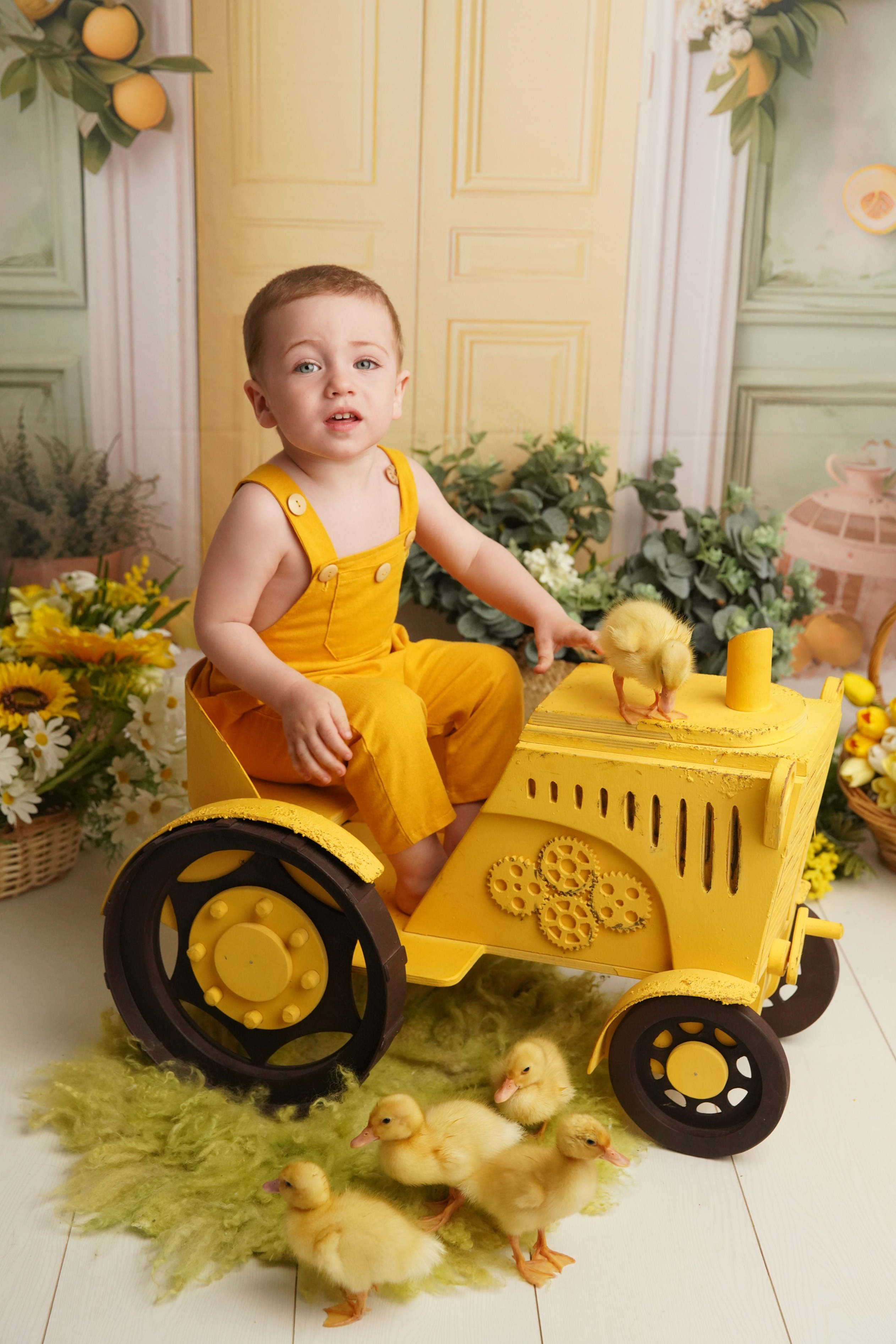 Утята. Фотограф новорожденных. Семейный и детский фотограф в городе Сургуте