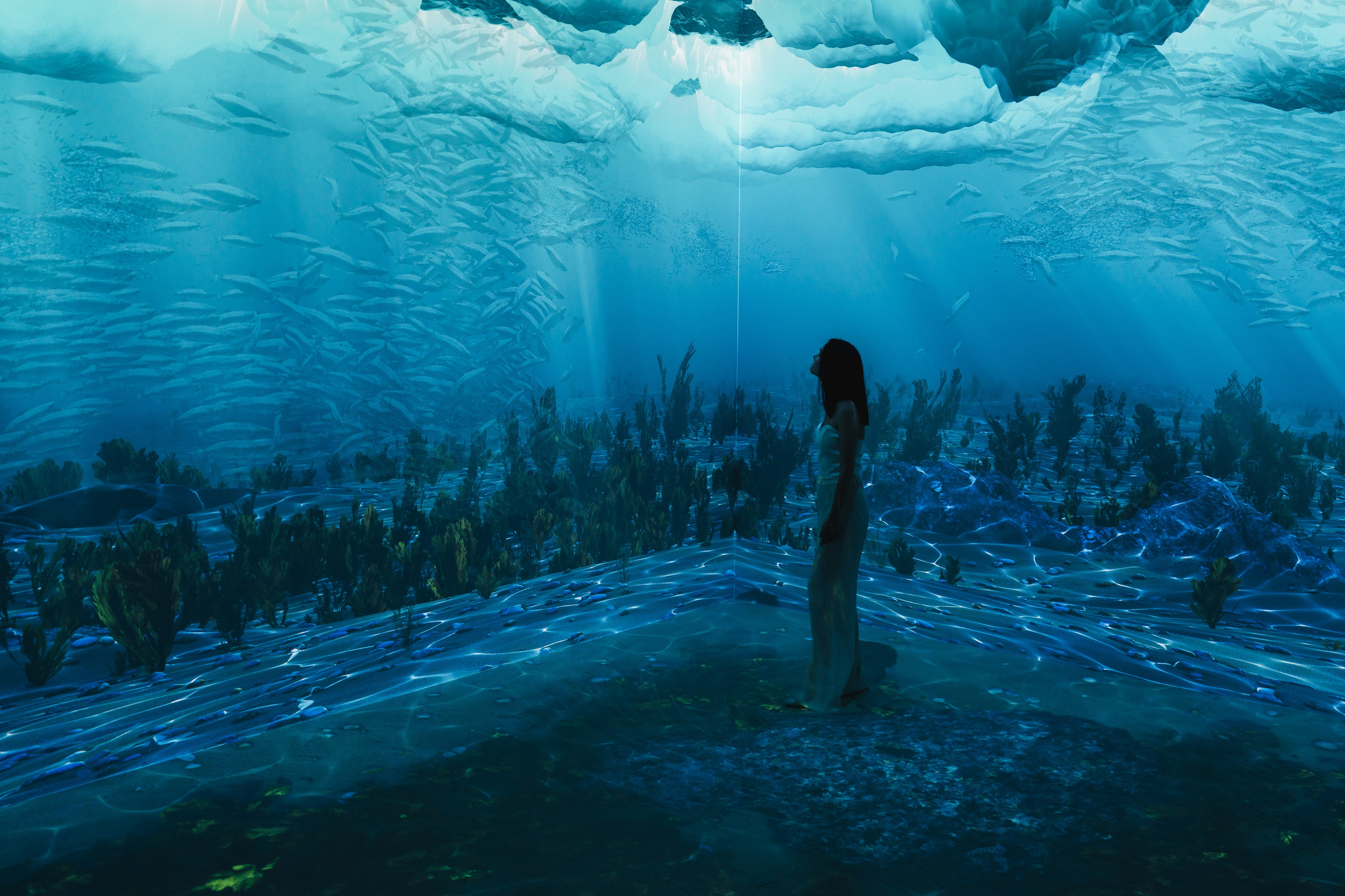 VI Ocean, Tutankhamun, SILA SVETA. @tomrus: Рустам Шагиморданов — фотограф