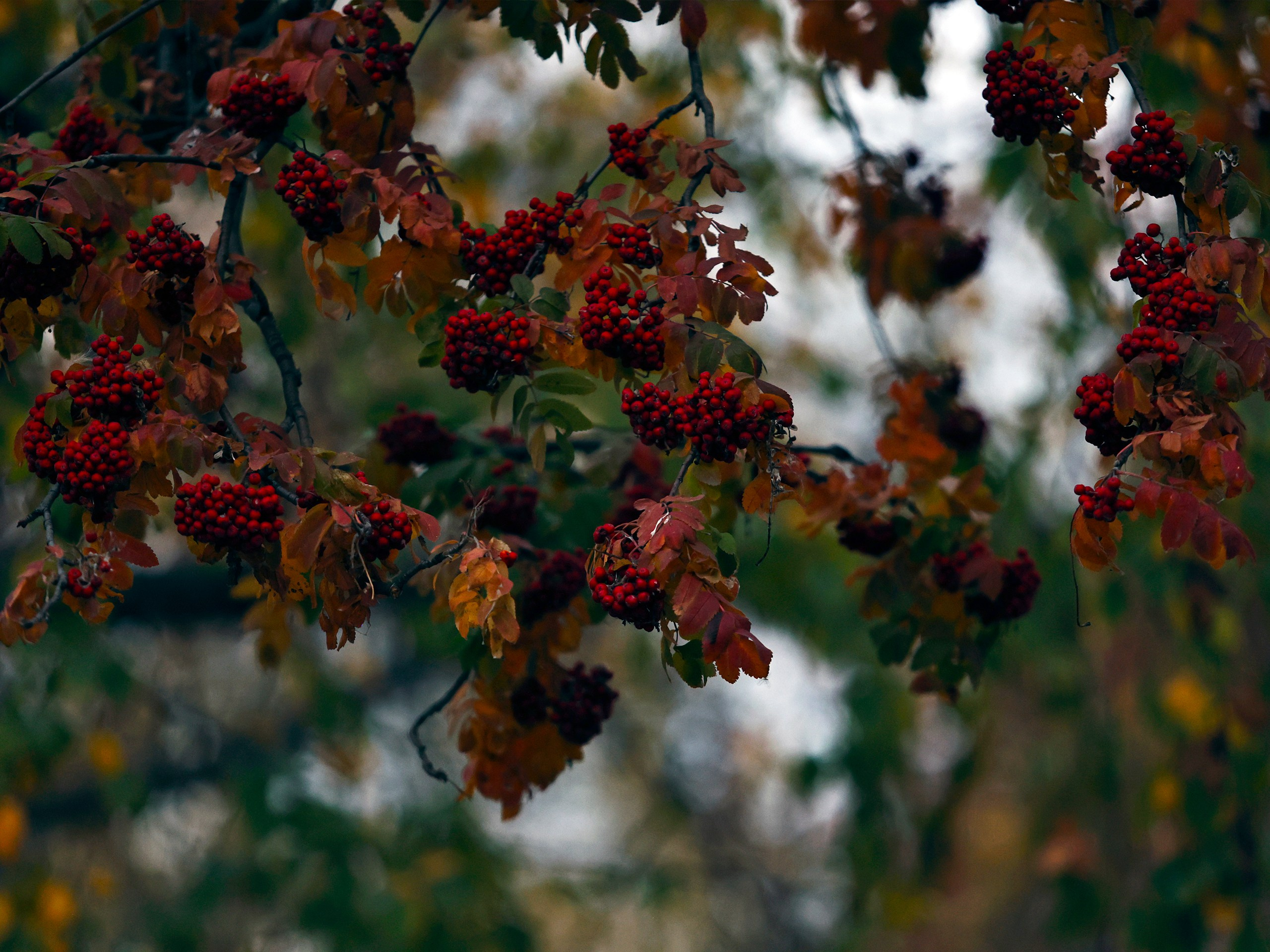 Фотограф | Видеограф в Кургане, Тюмени и Челябинске