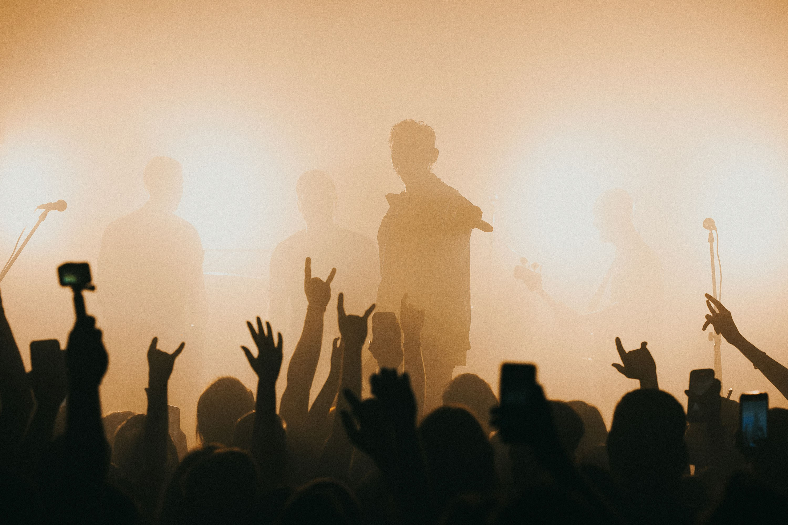 Концерт группы Punkmovies. Главная