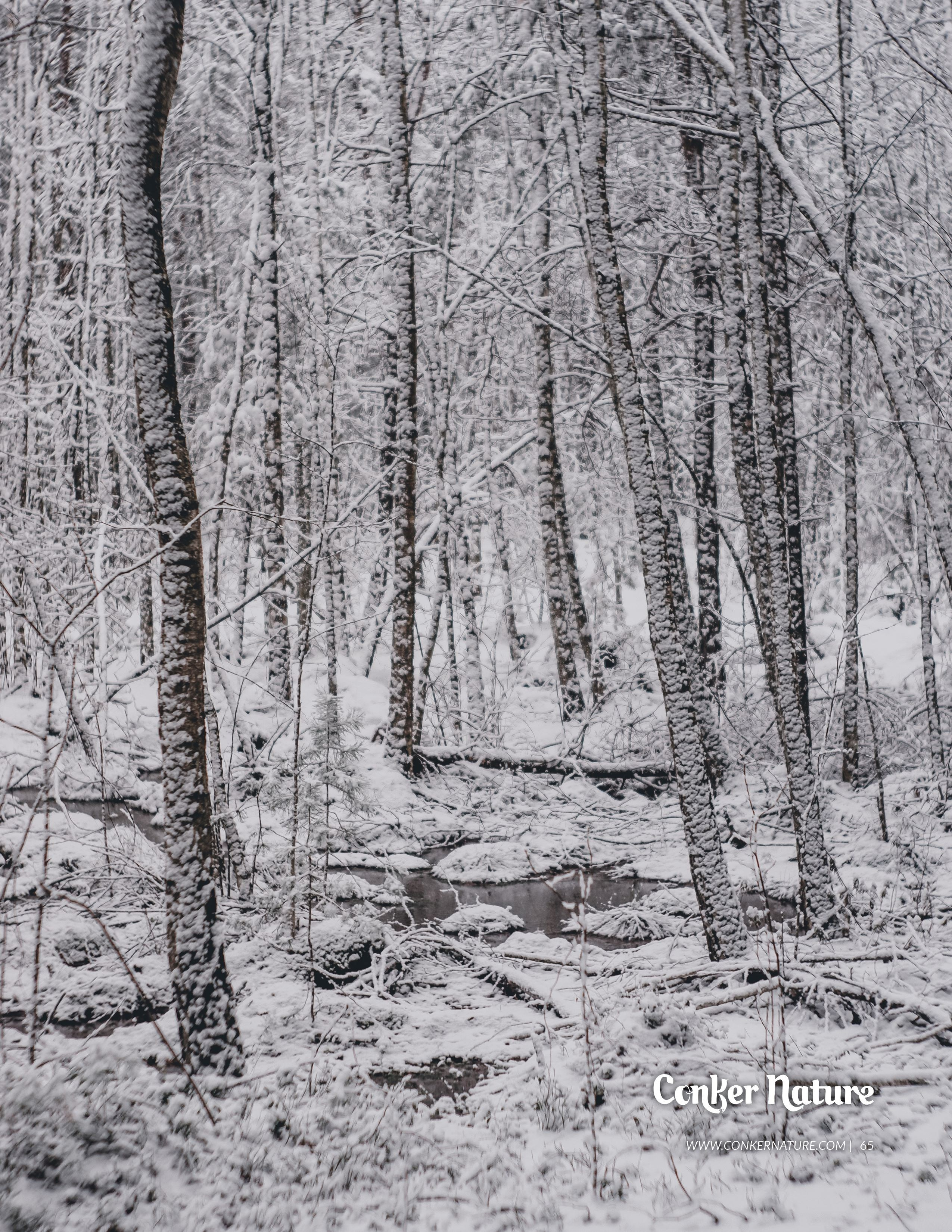 My publications in printed publications, magazines. Фотограф (photographer) Lischinski Vitaliy