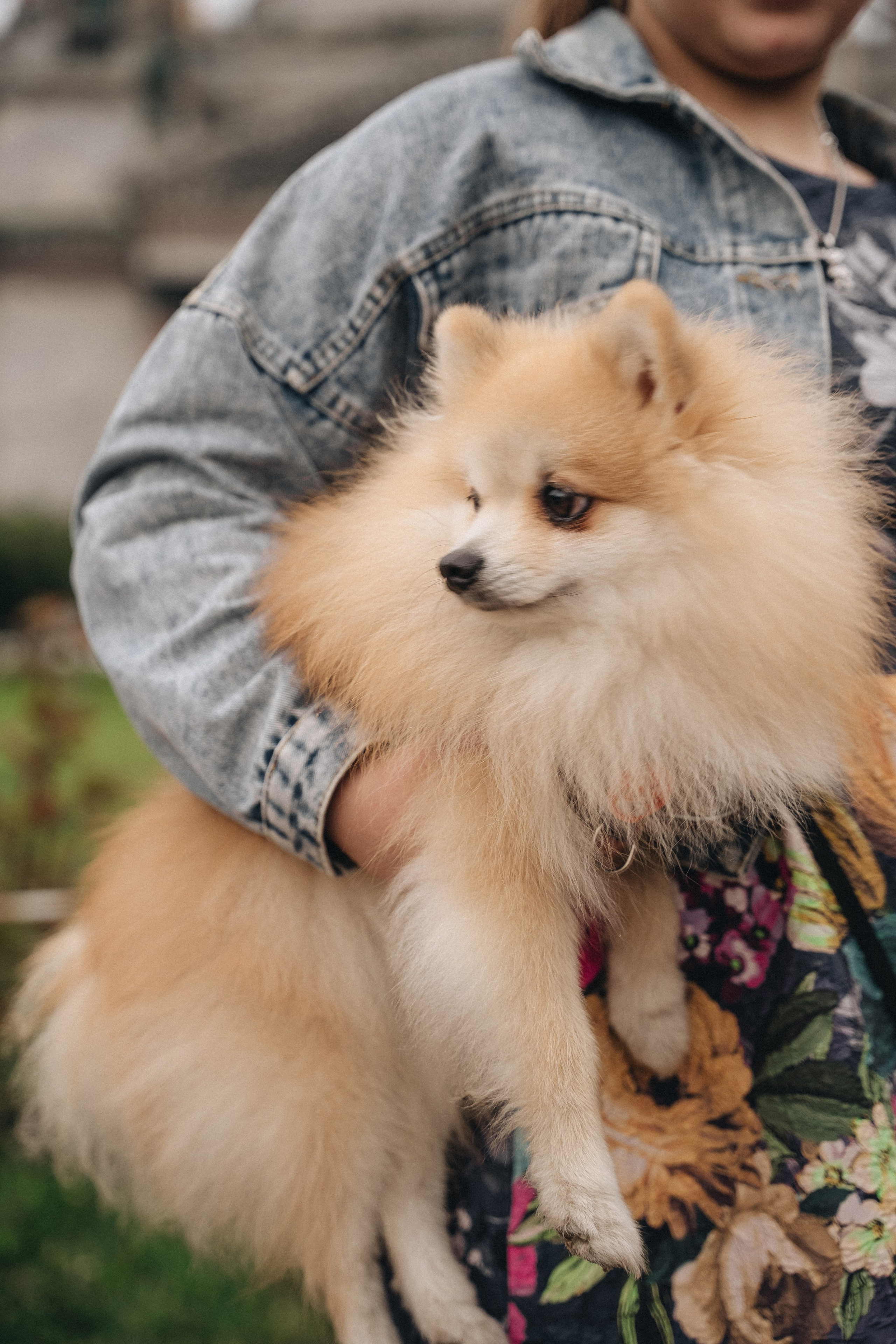 Ольга. Фотограф Санкт-Петербург/Гомель Виктория Петрова