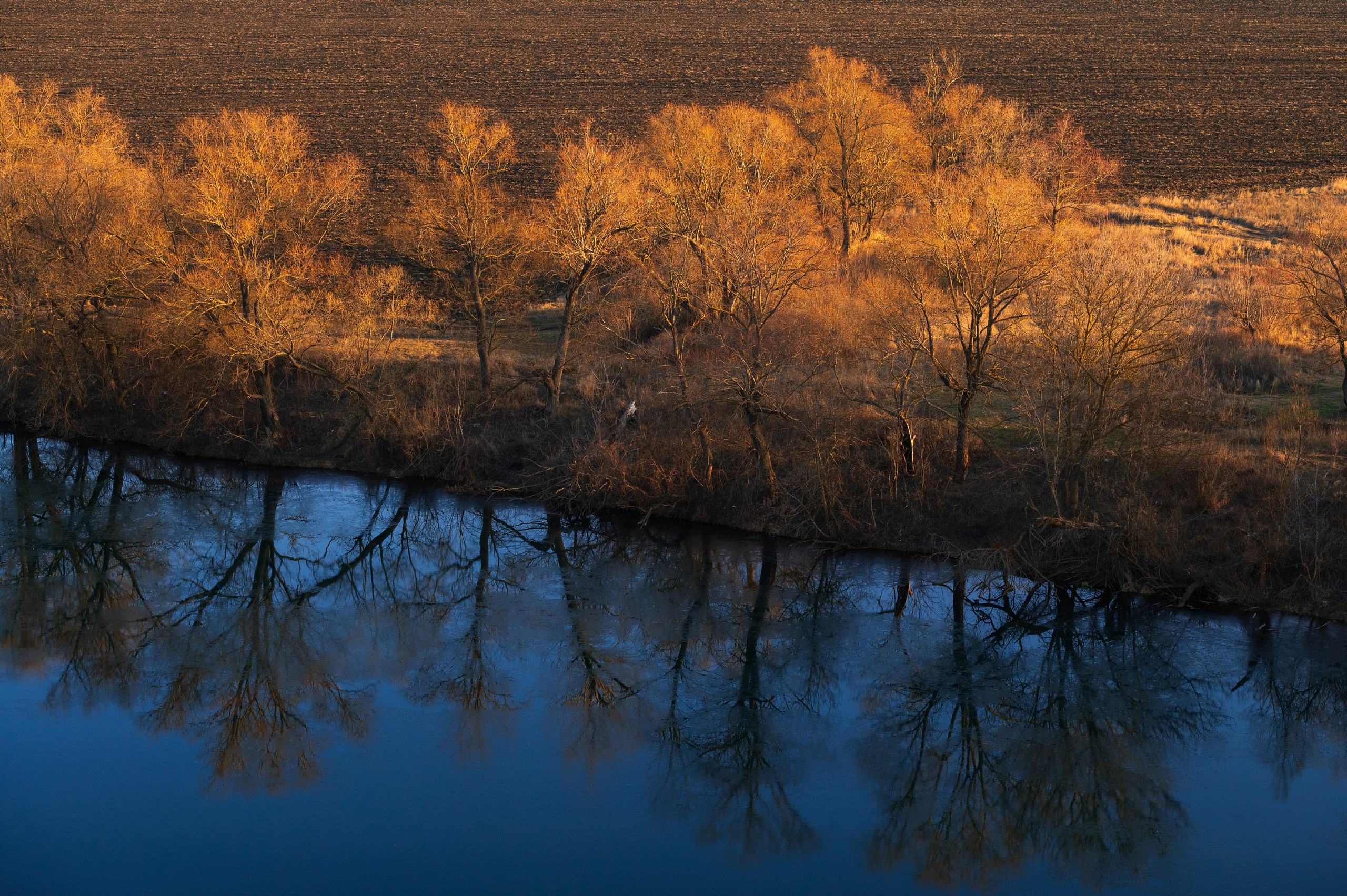 Красивая Меча. Фотограф и видеооператор в Туле | Даниил Рыбак