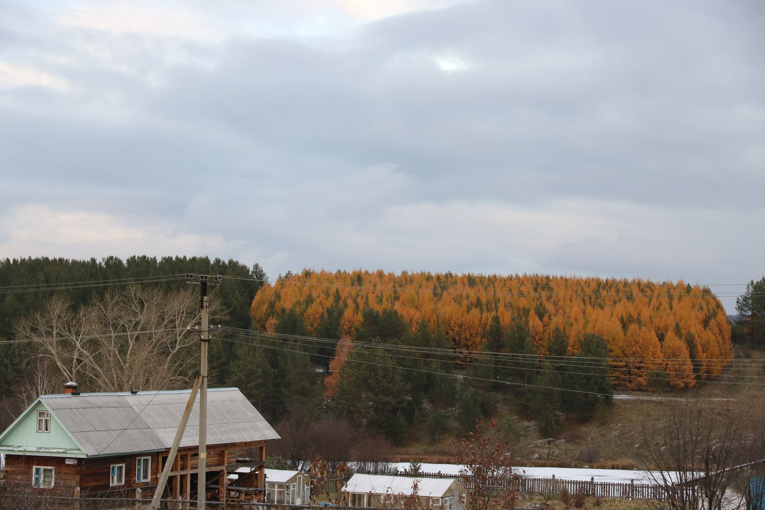 Екатеринбург | 21-23.10.2016. Галерея Фантим