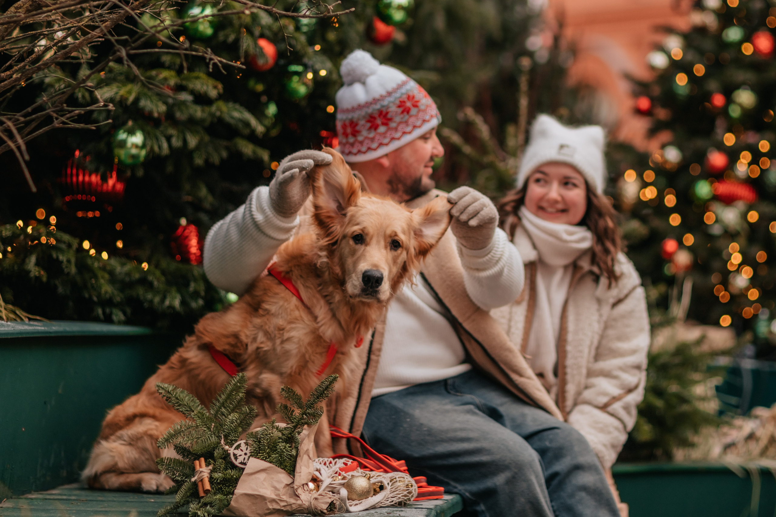 Бетти, Катя и Лёша. Новогодняя история. Семейный фотограф анималист Мария Крючкова
