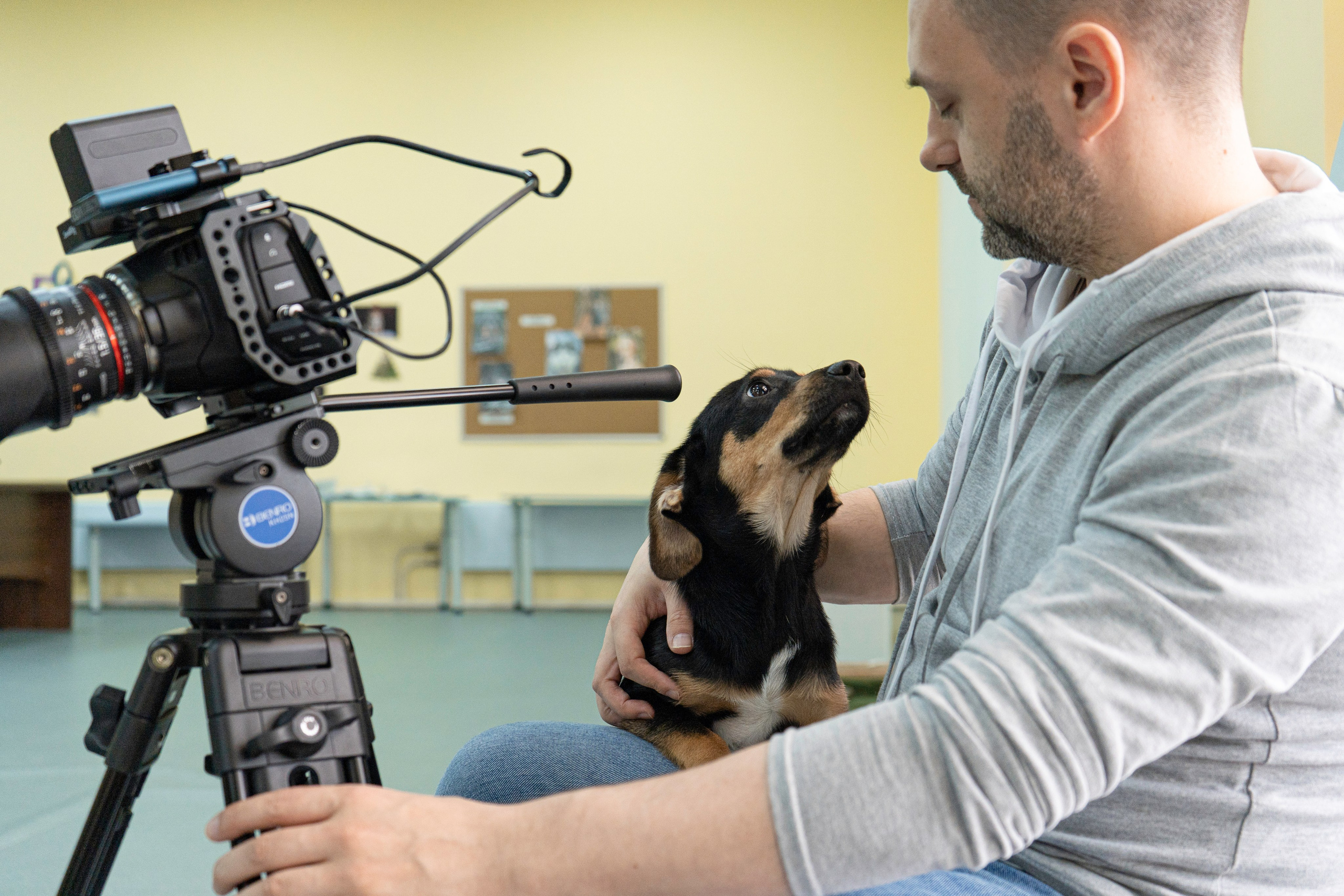 Бездомыши. Фотограф Екатерина Зорина