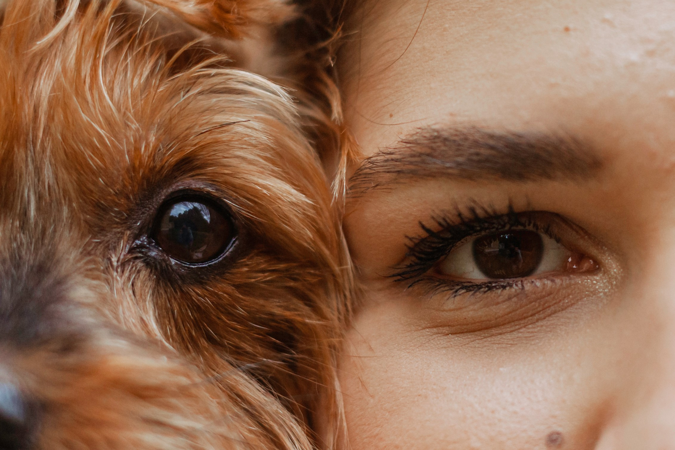 Катя и Моня. Фотограф-анималист Татьяна Степанова