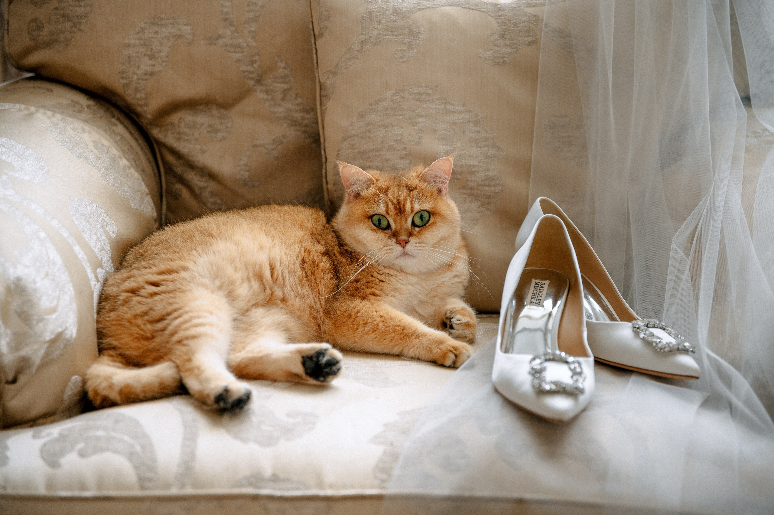 ЯНА и ЖЕНЯ. Шашкова Вероника / Свадебный и семейный фотограф Москва и Ярославль