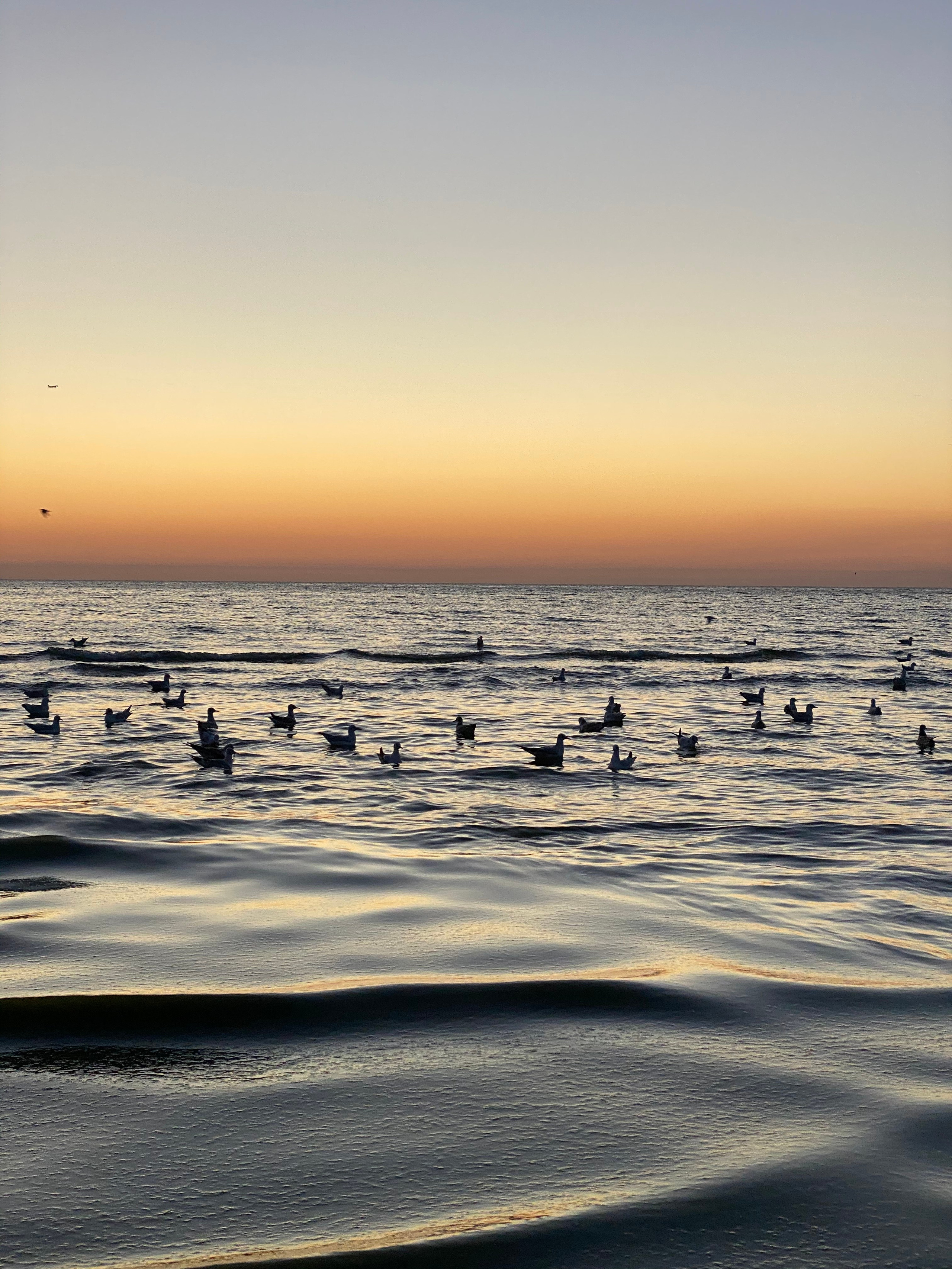 Анапа&nbsp;— 20